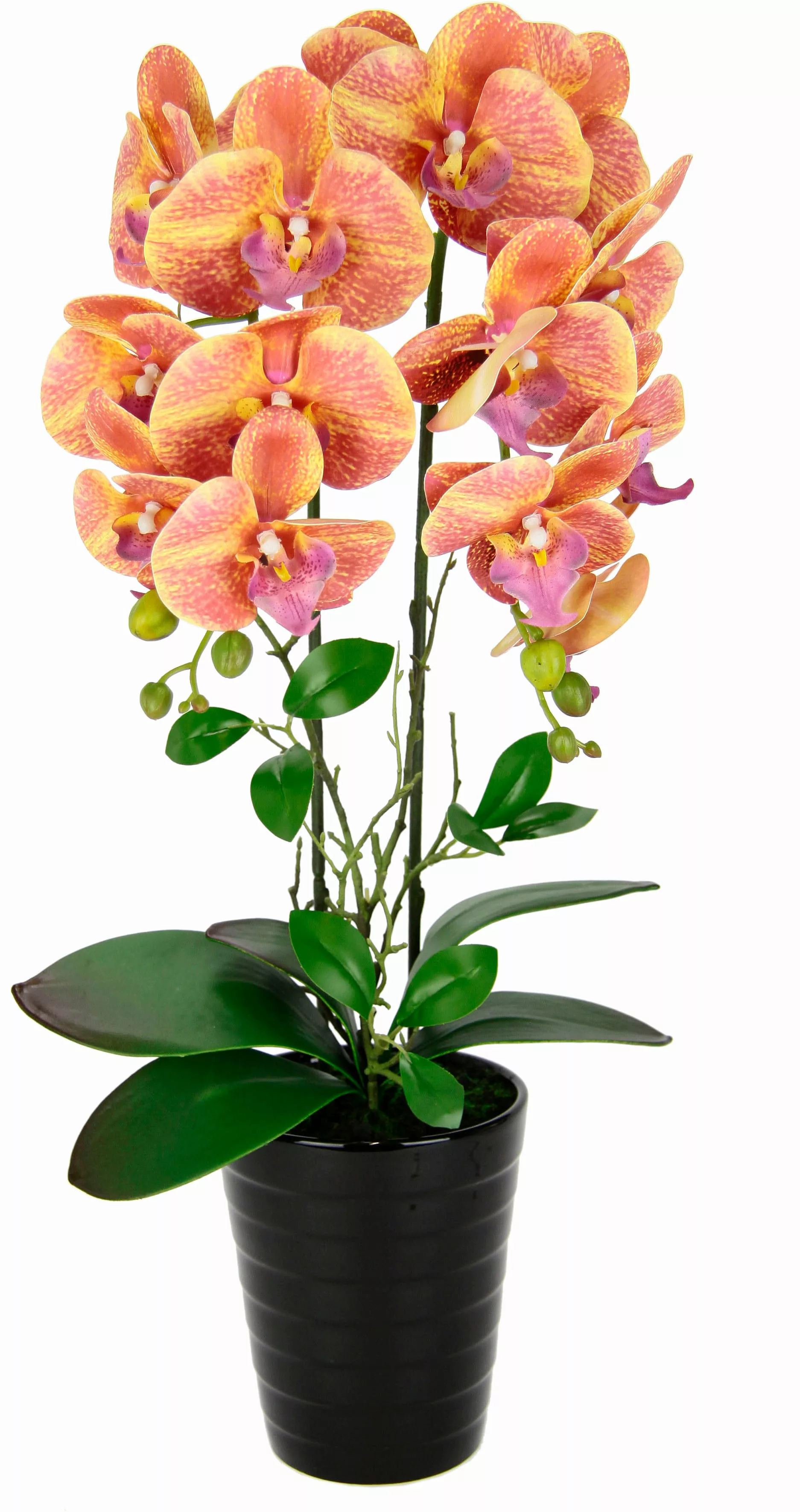 I.GE.A. Kunstblume "Orchidee", Im Topf Phalaenopsis Orchidee Phalaenopsis m günstig online kaufen
