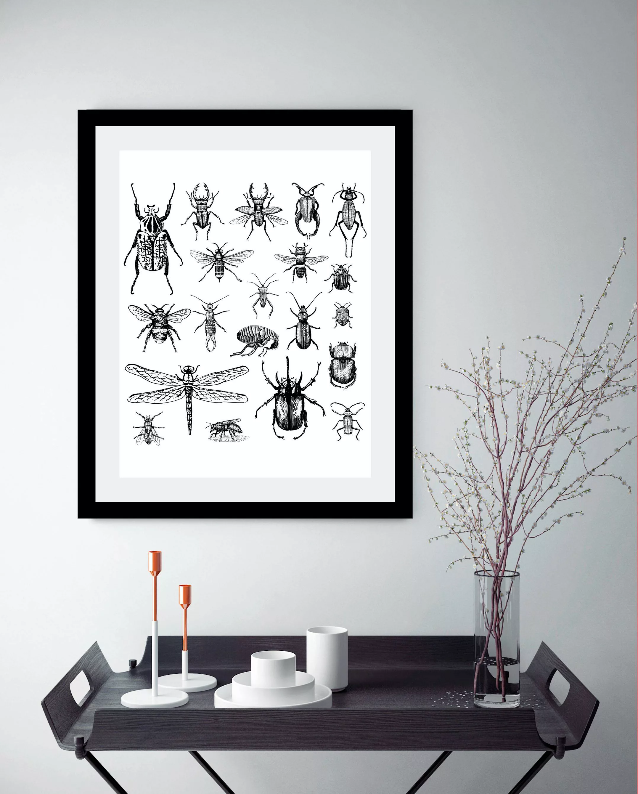 queence Bild »Käfer«, Tiere-Schwarz-Weiß-Kunst-Insekten, HD Premium Poster- günstig online kaufen