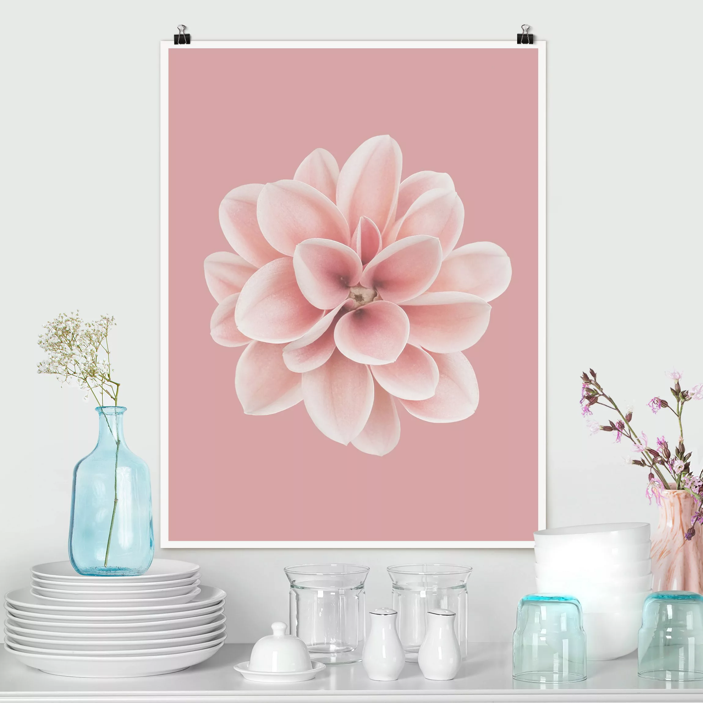 Poster Fotografie Dahlie Rosa Blush Blume Zentriert günstig online kaufen