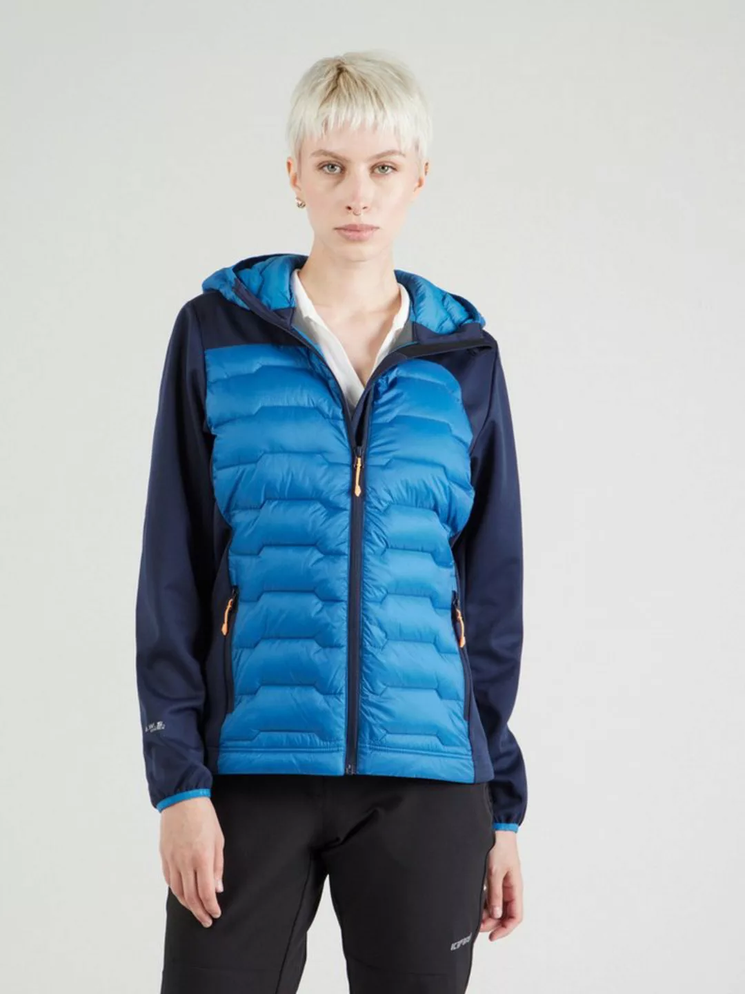 Icepeak Funktionsjacke ICEPEAK BURLISON ALOE günstig online kaufen