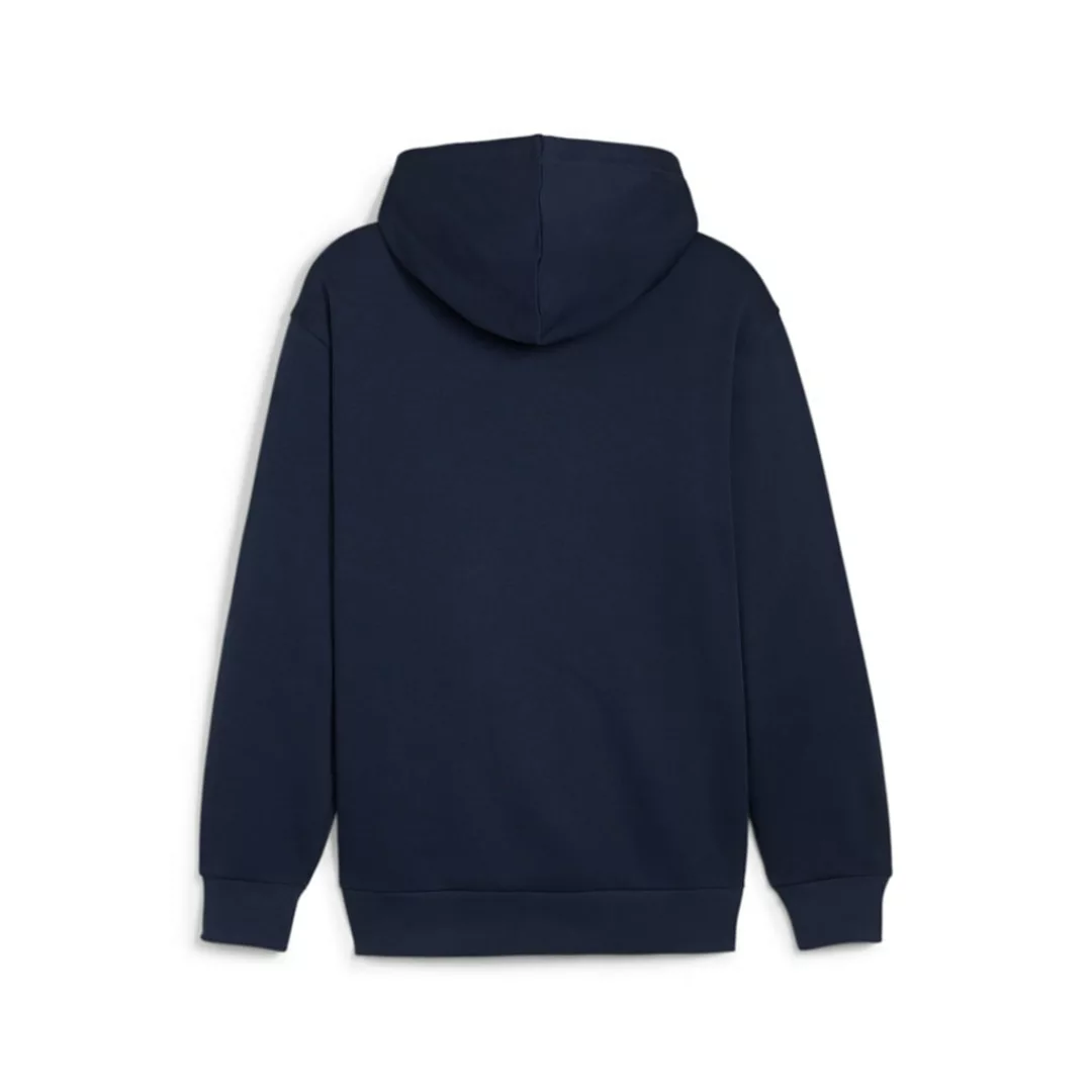 PUMA Kapuzensweatshirt "POWER COLORBLOCK HOODIE TR" günstig online kaufen