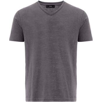 Dandalo  T-Shirts & Poloshirts Odiane Regular Fit V-Neck T-shirt günstig online kaufen