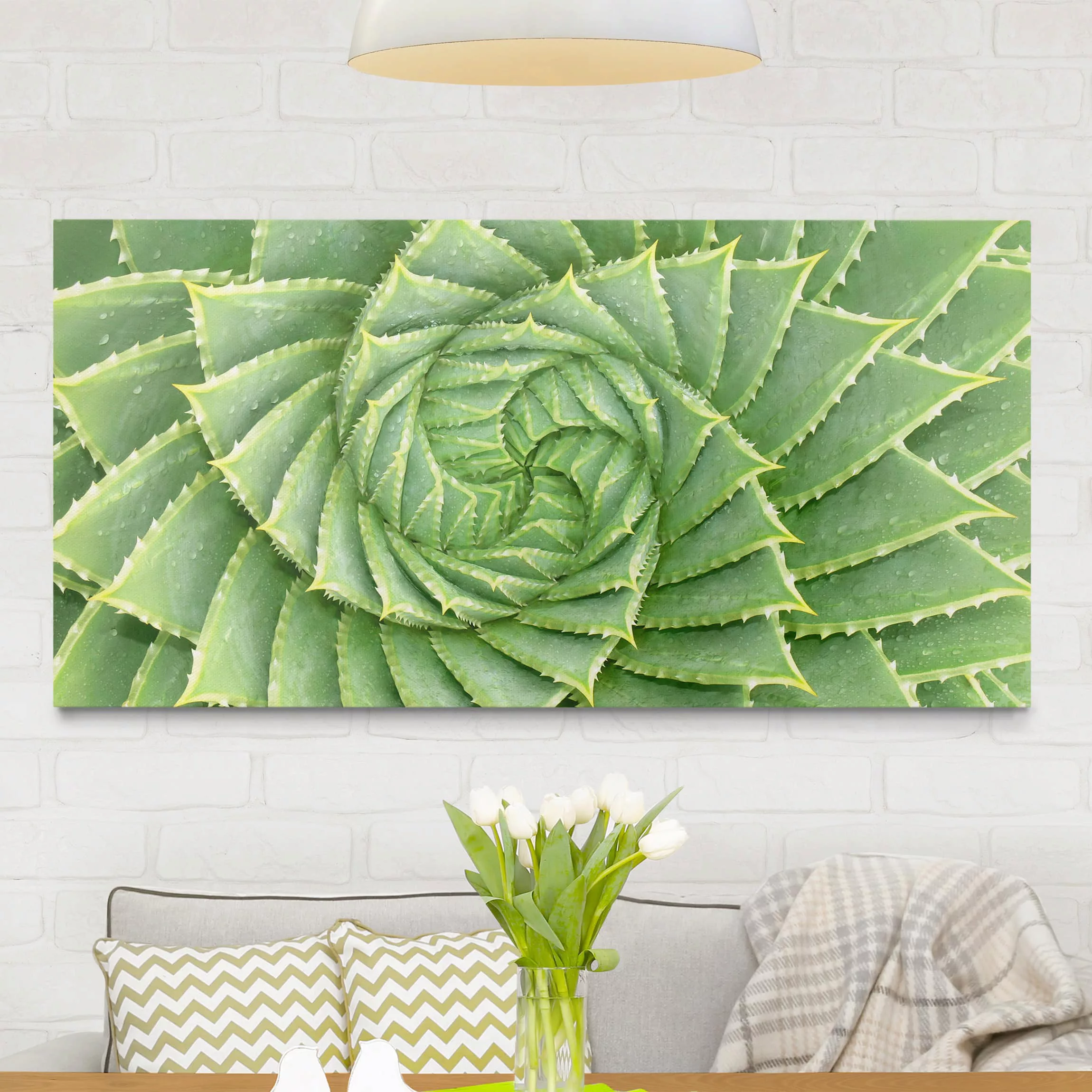 Leinwandbild Botanik - Querformat Spiral Aloe günstig online kaufen