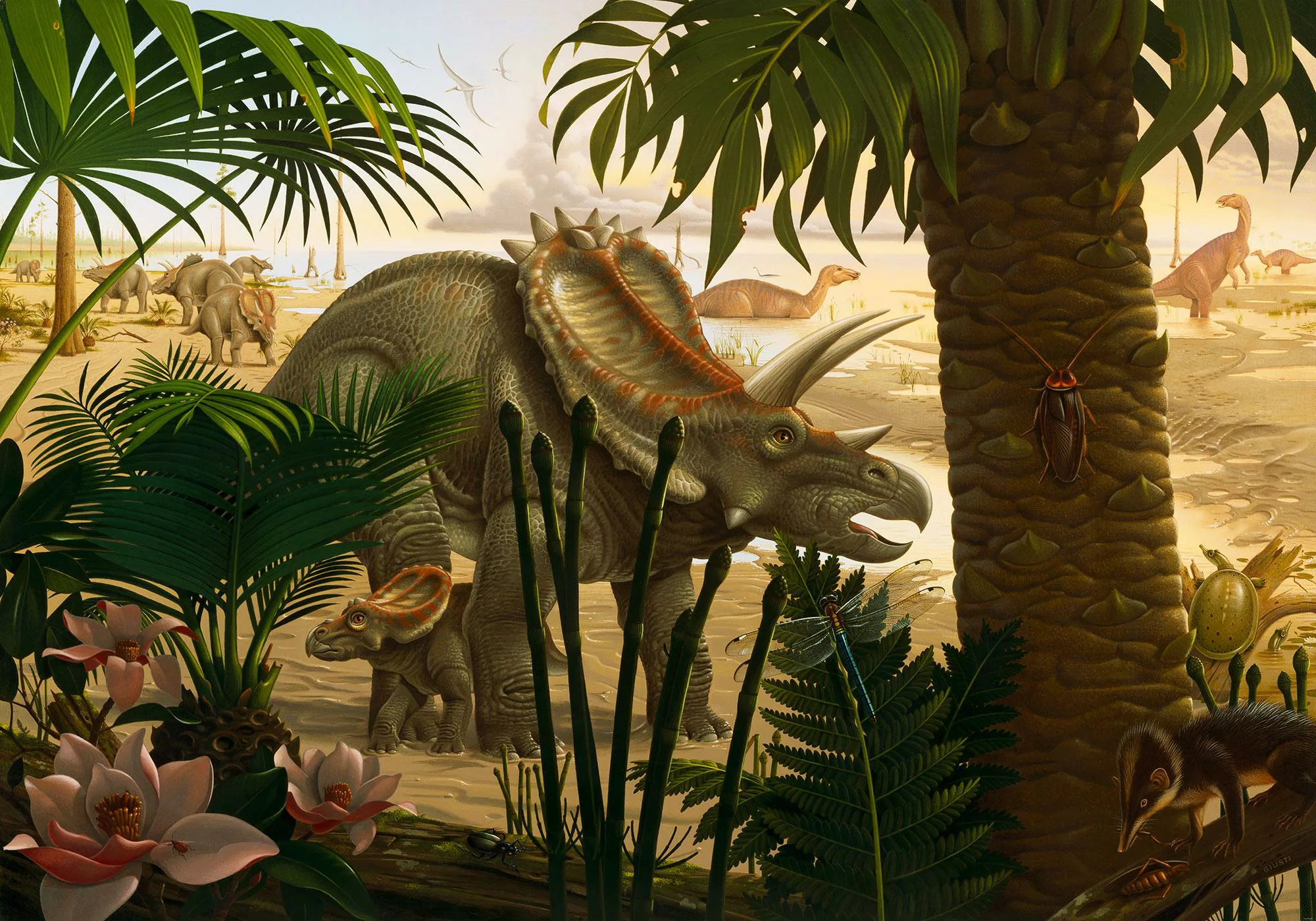 KOMAR Vlies Fototapete - Anchieratops Jungle - Größe 400 x 280 cm mehrfarbi günstig online kaufen