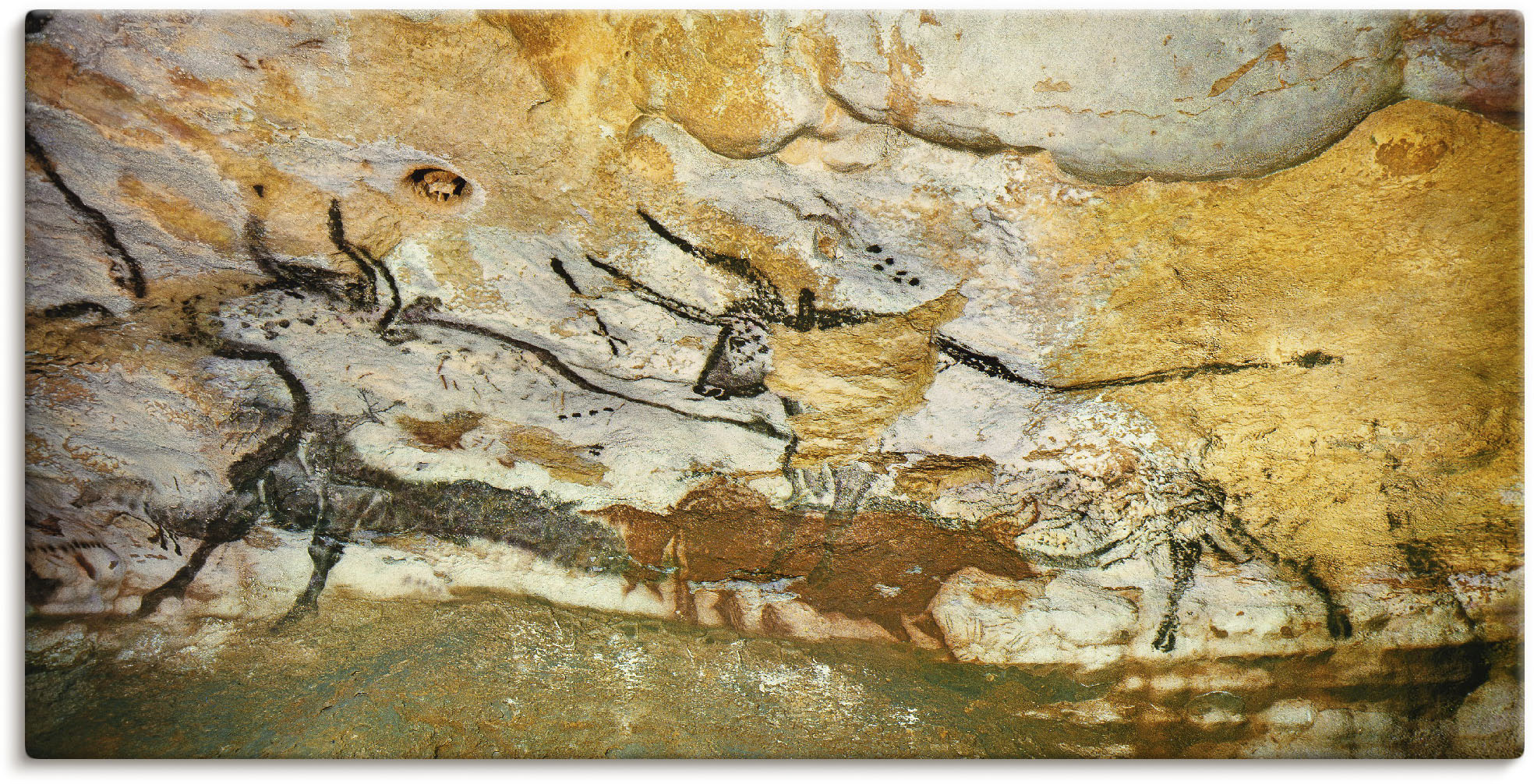 Artland Wandbild »Höhle von Lascaux Stiere«, Wildtiere, (1 St.), als Leinwa günstig online kaufen