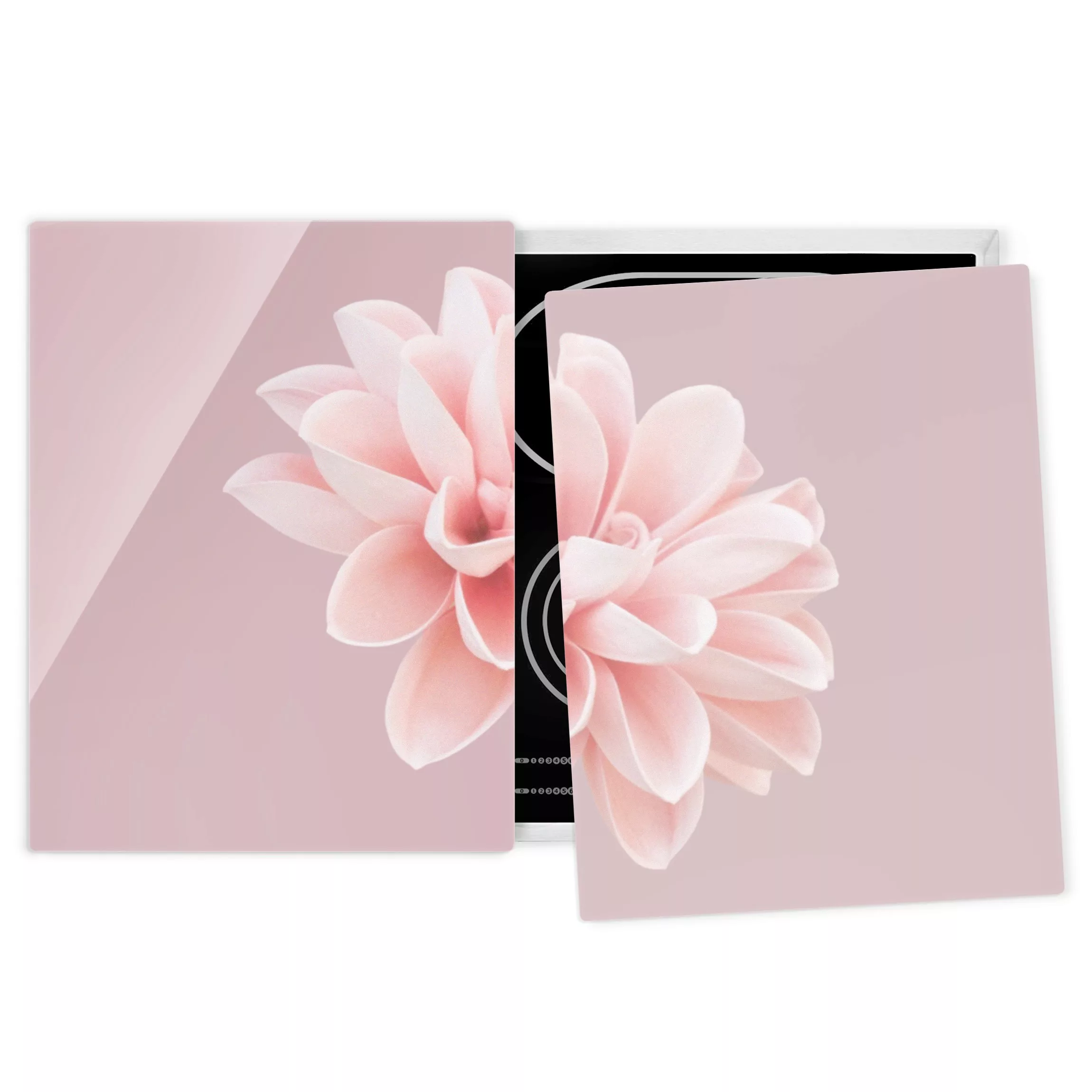 Herdabdeckplatte Blumen Dahlie Blume Lavendel Rosa Weiß günstig online kaufen