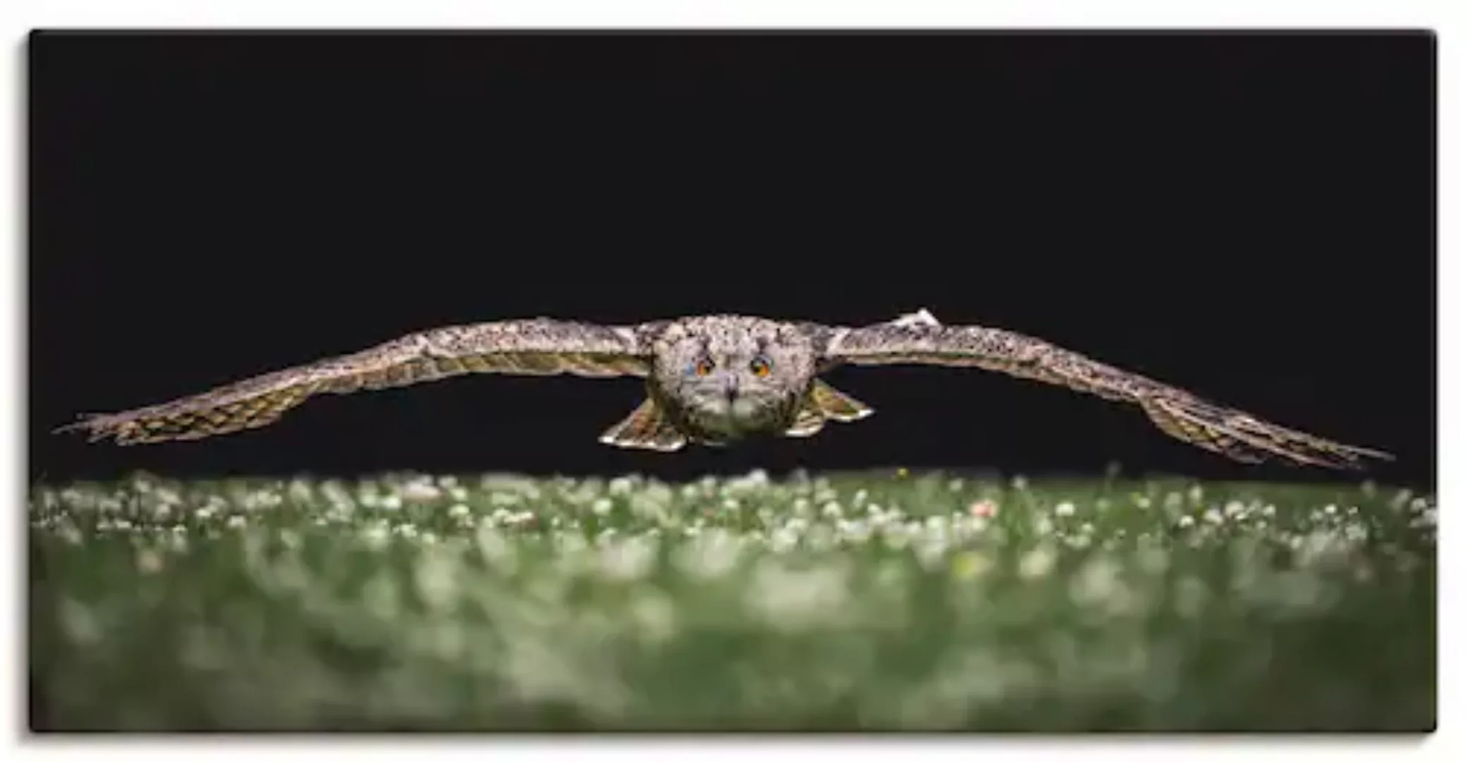 Artland Leinwandbild »Der Uhu«, Vögel, (1 St.), auf Keilrahmen gespannt günstig online kaufen