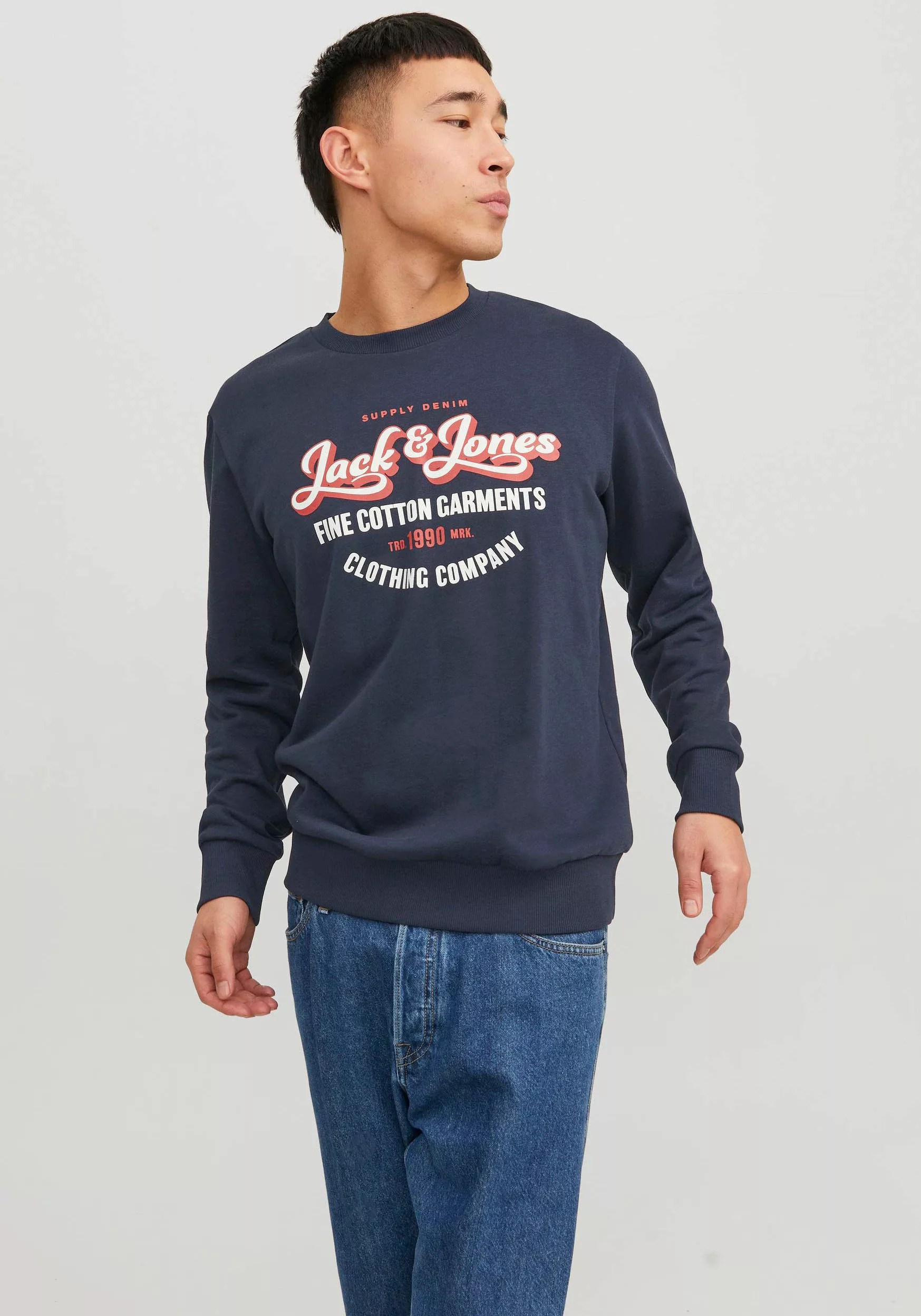 Jack & Jones Sweatshirt "JJ JJANDY SWEAT CREW NECK" günstig online kaufen