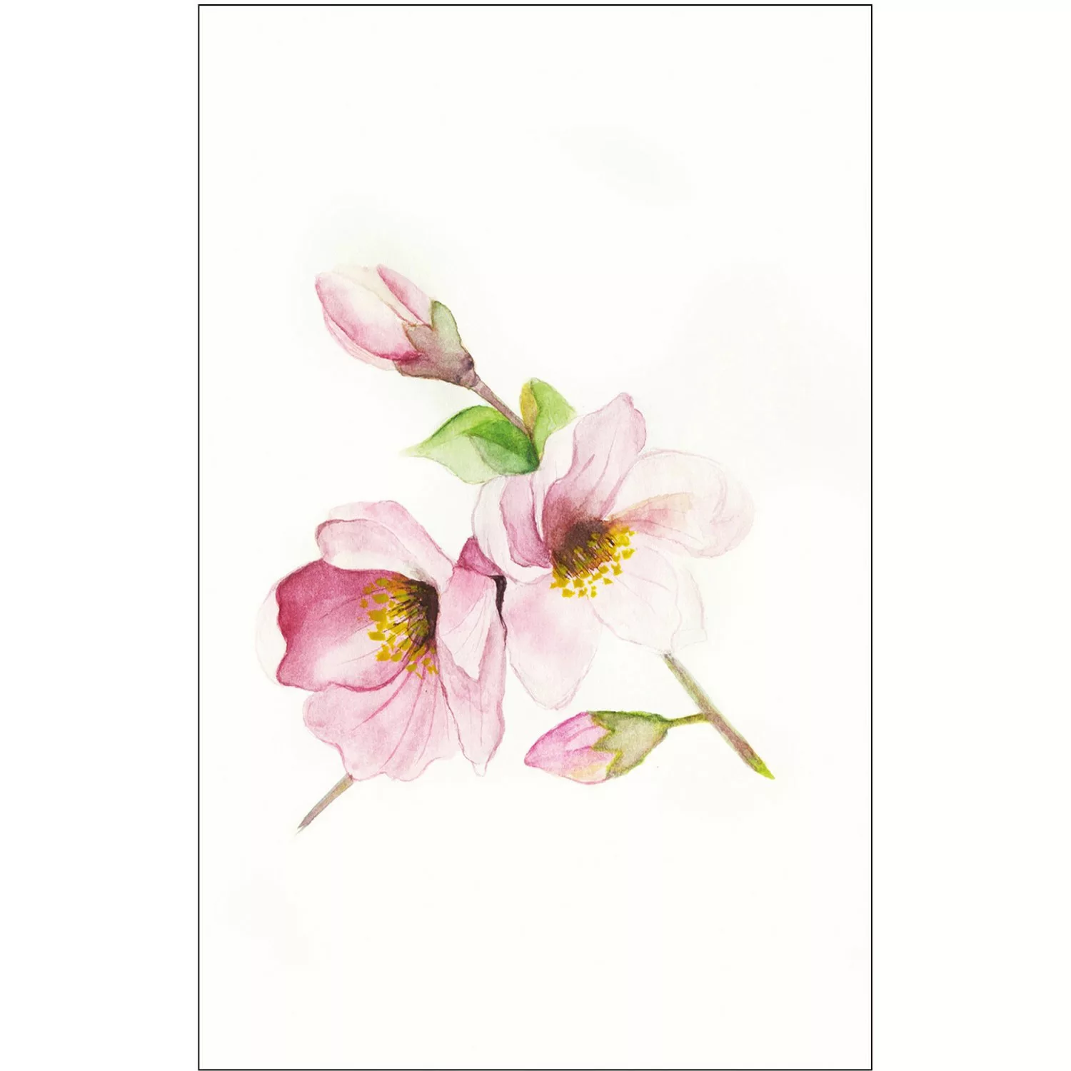 Komar Poster "Magnolia Breathe", Blumen, (1 St.), Kinderzimmer, Schlafzimme günstig online kaufen
