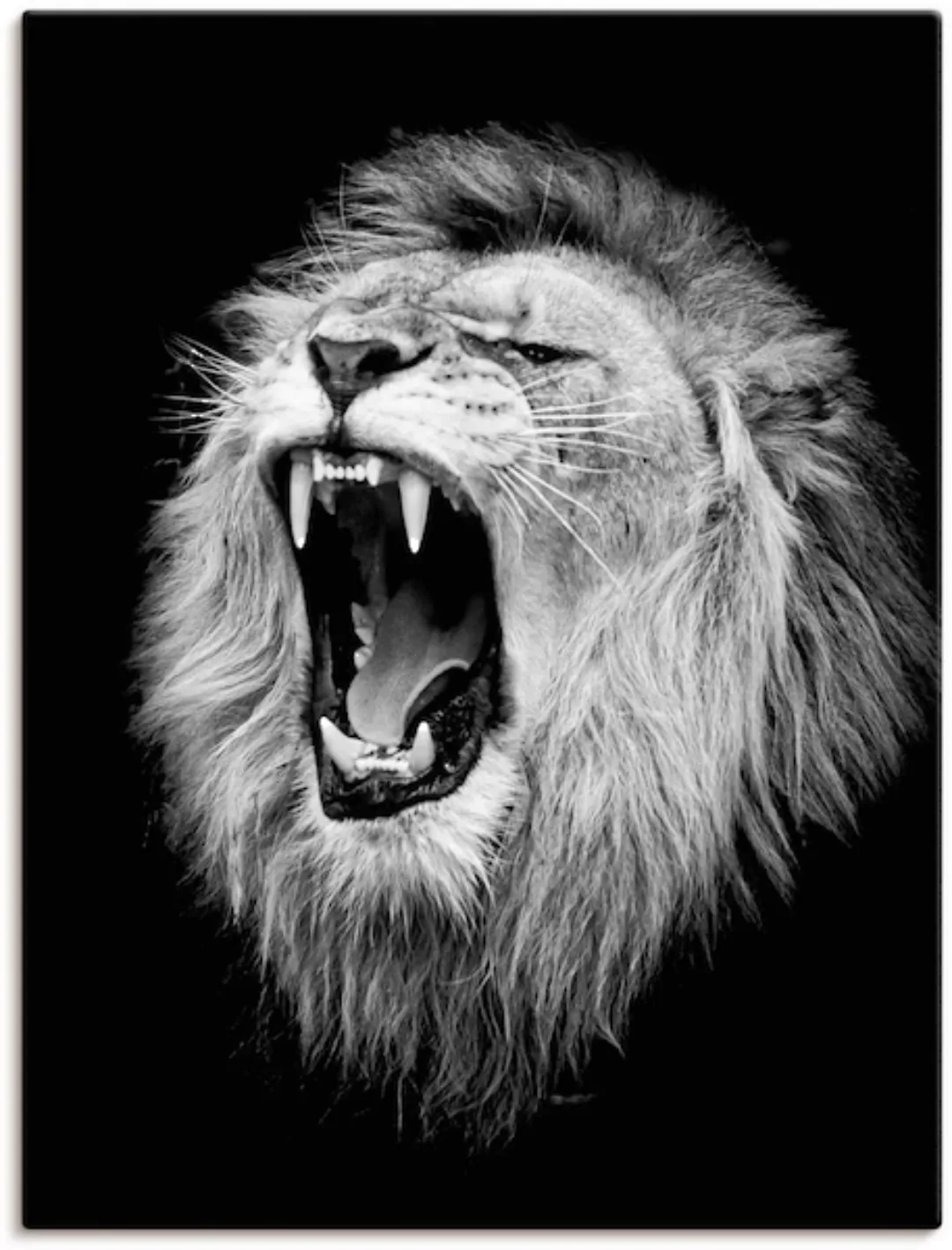 Artland Wandbild »Der Löwe«, Wildtiere, (1 St.), als Alubild, Outdoorbild, günstig online kaufen