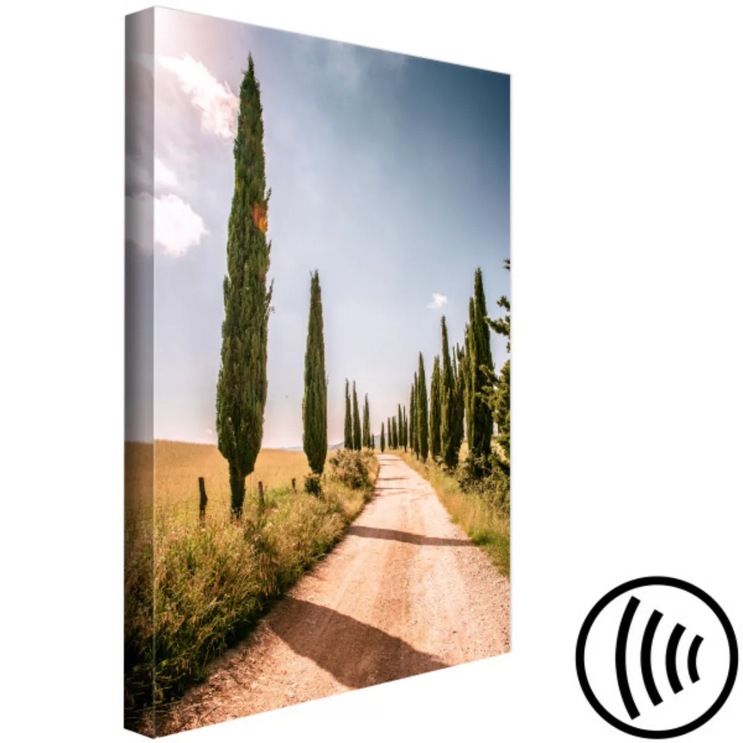 Leinwandbild Italian cypresses (1 Part) Vertical XXL günstig online kaufen