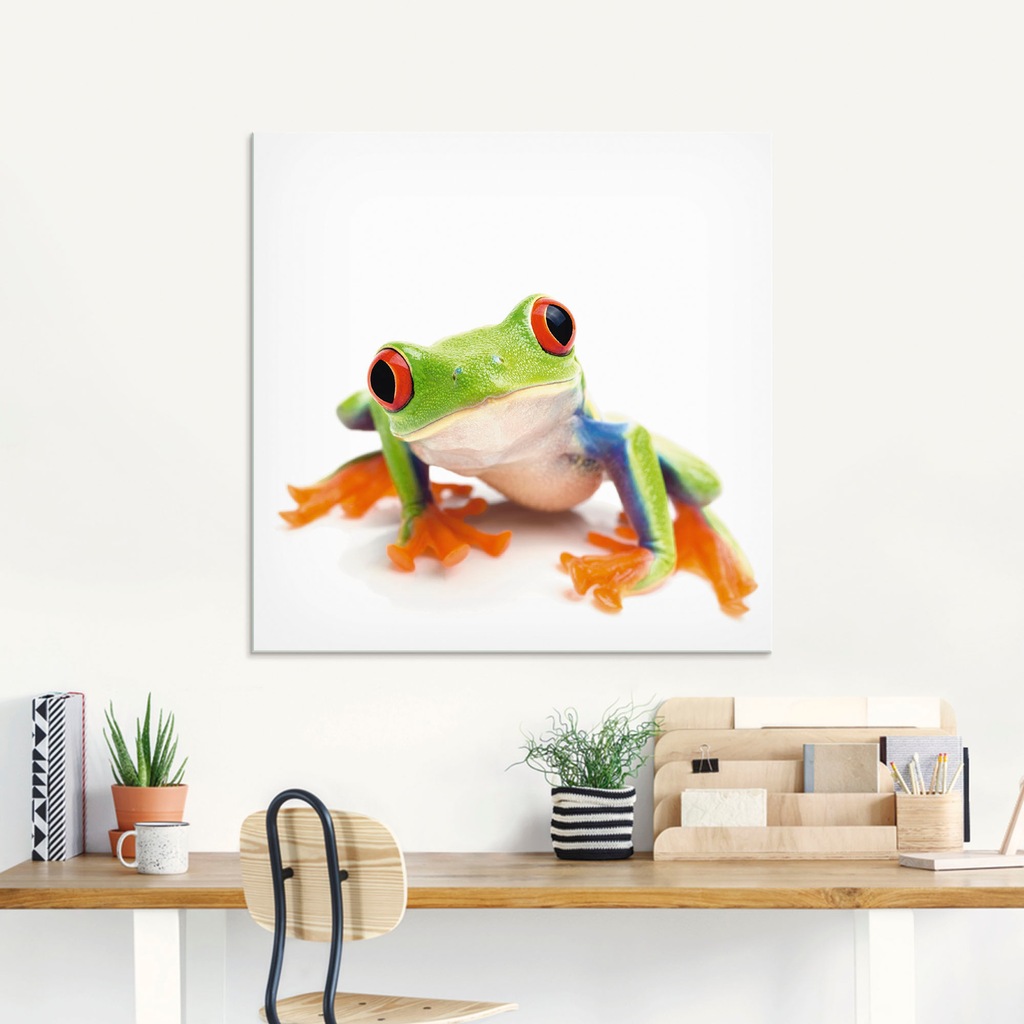 Artland Glasbild »Großaufnahme eines Frosches vor weiß«, Wassertiere, (1 St günstig online kaufen