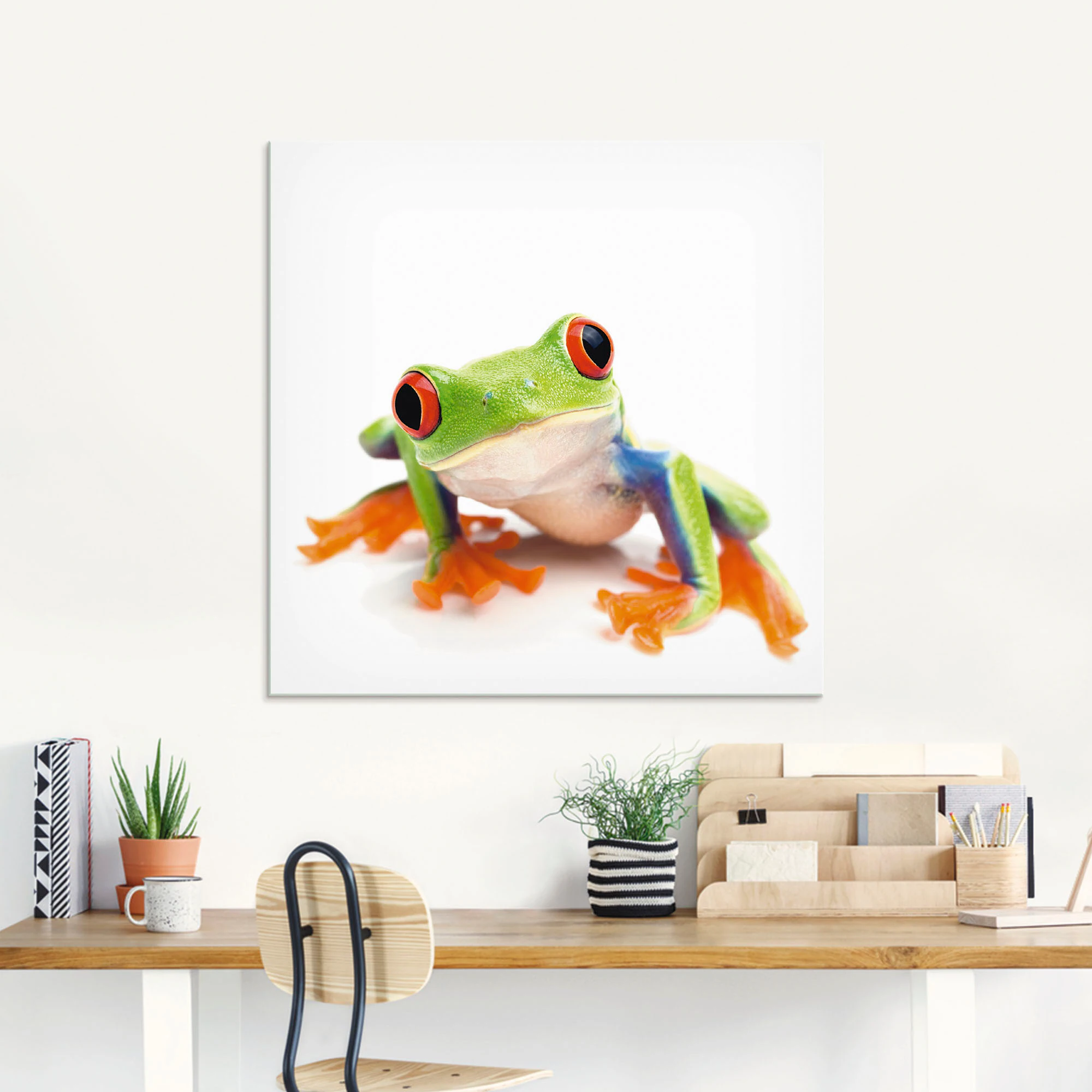 Artland Glasbild "Großaufnahme eines Frosches vor weiß", Wassertiere, (1 St günstig online kaufen