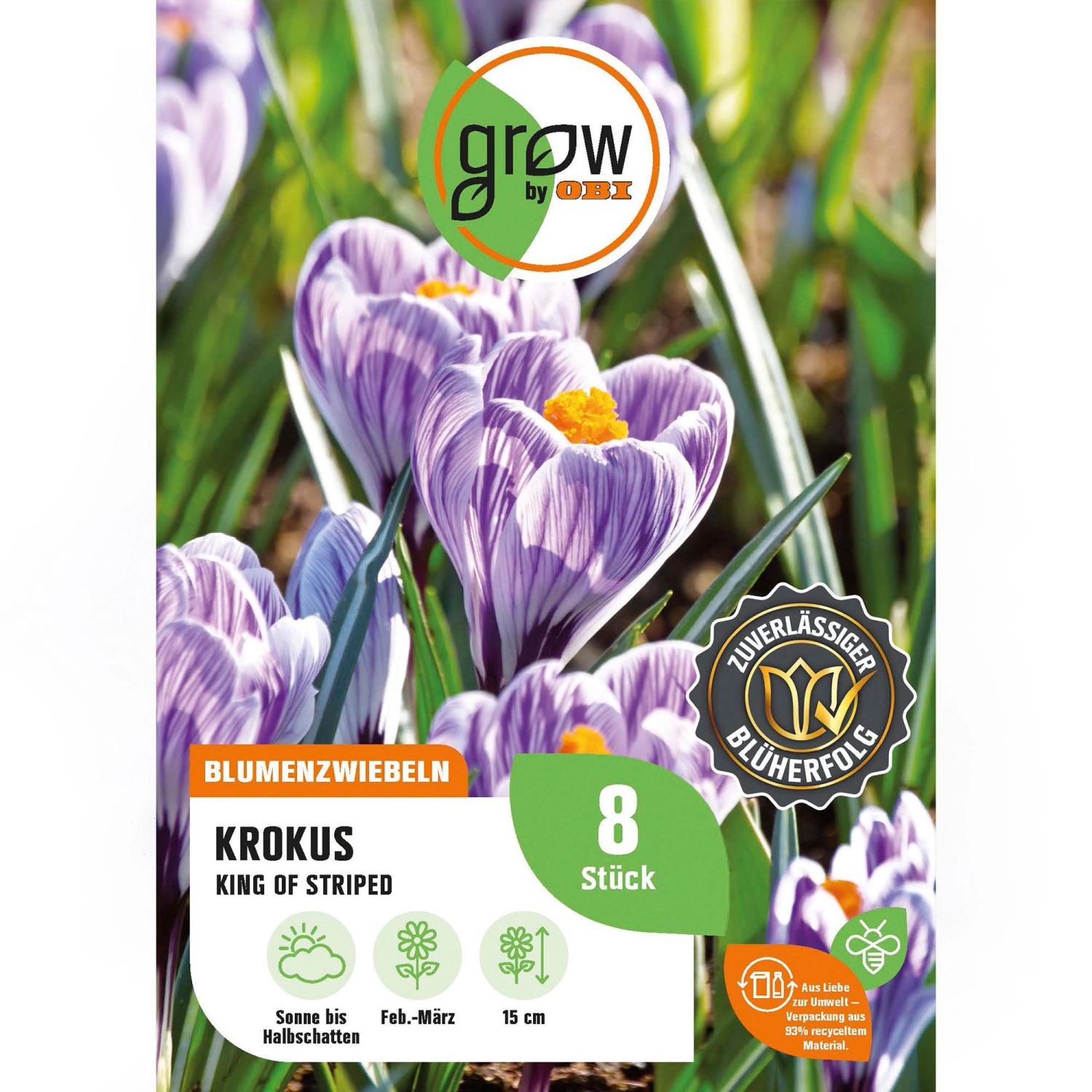 GROW by OBI Krokus King of theStriped 8 Stück Crocus vernus King of the Str günstig online kaufen