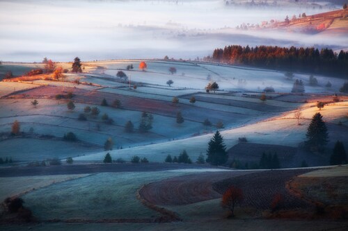 Papermoon Fototapete »Photo-Art AMIR BAJRICH, NEBEL« günstig online kaufen