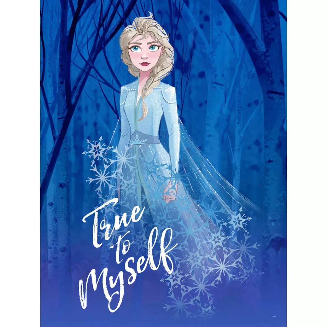 Komar Wandbild Frozen 2 Elsa true to myself Disney B/L: ca. 30x40 cm günstig online kaufen