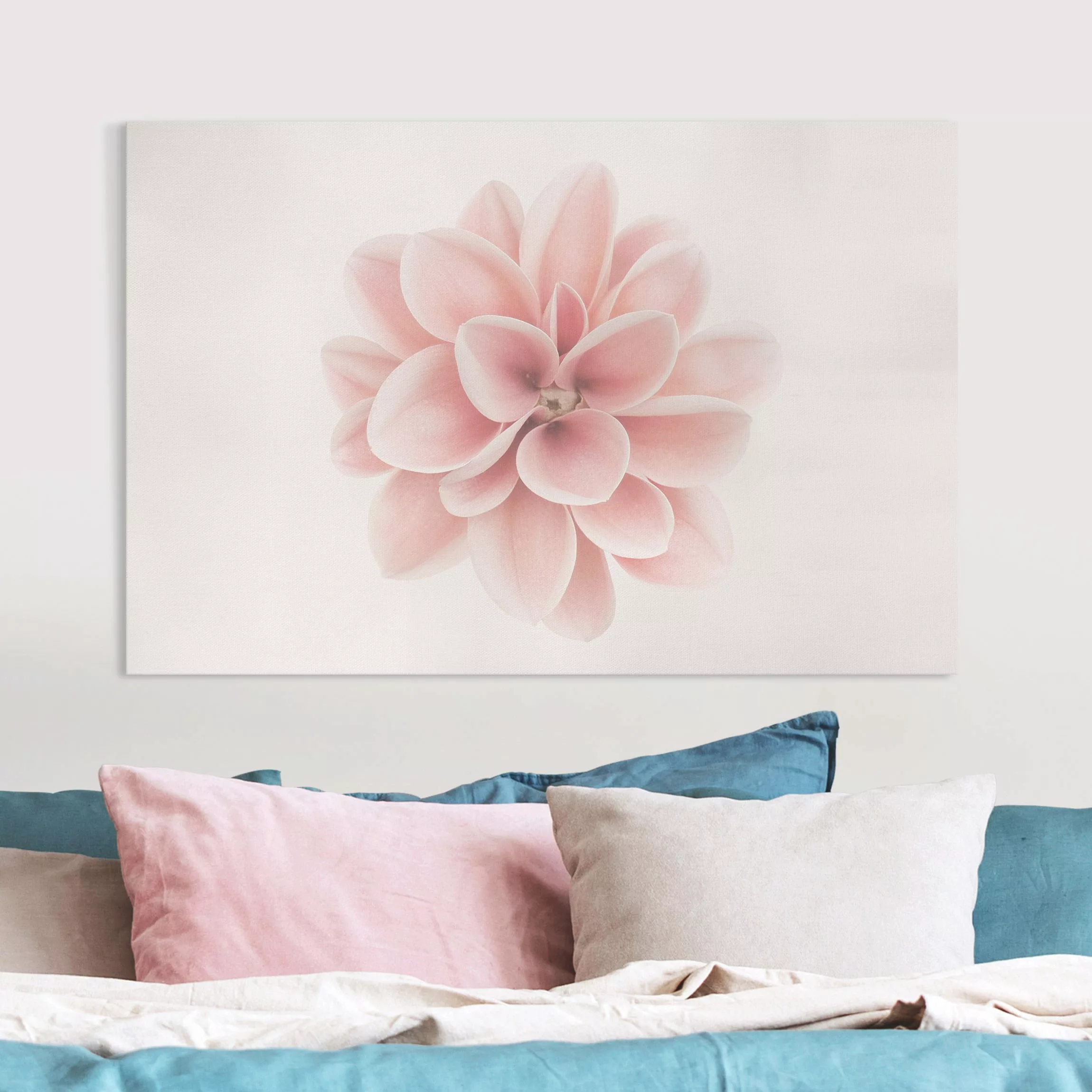 Leinwandbild Dahlie Rosa Pastell Blume Zentriert günstig online kaufen