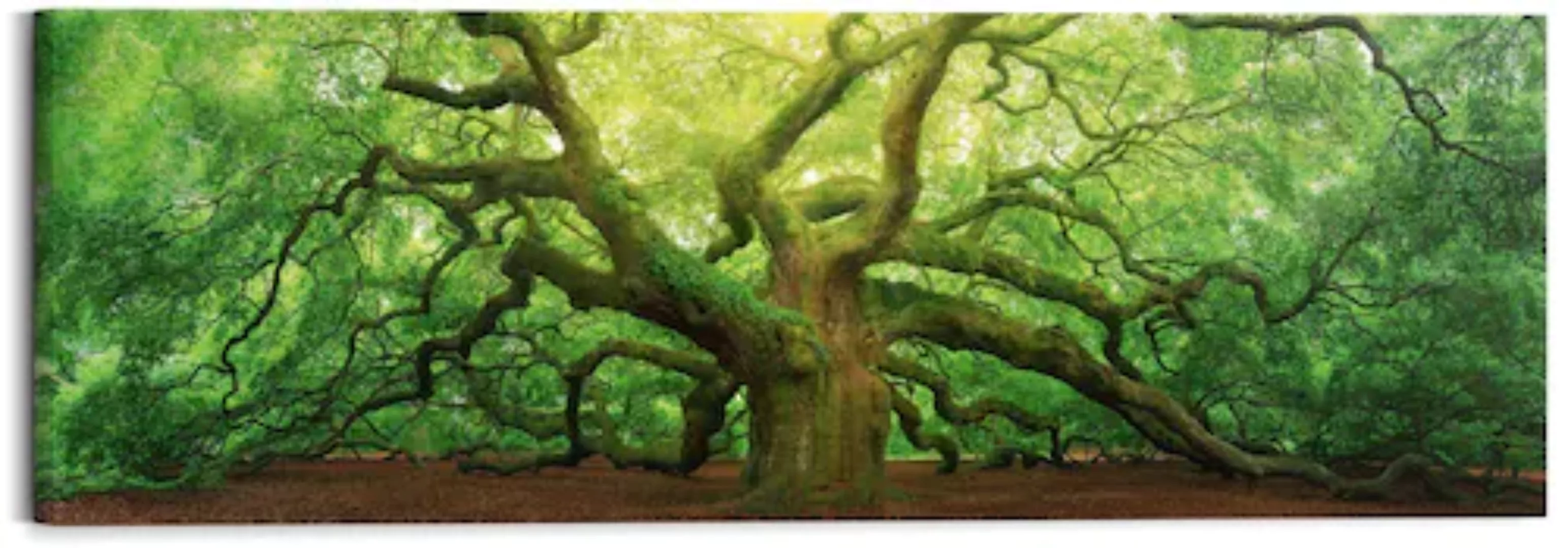 Reinders! Holzbild »Deco Block 40x118 Old Oak« günstig online kaufen