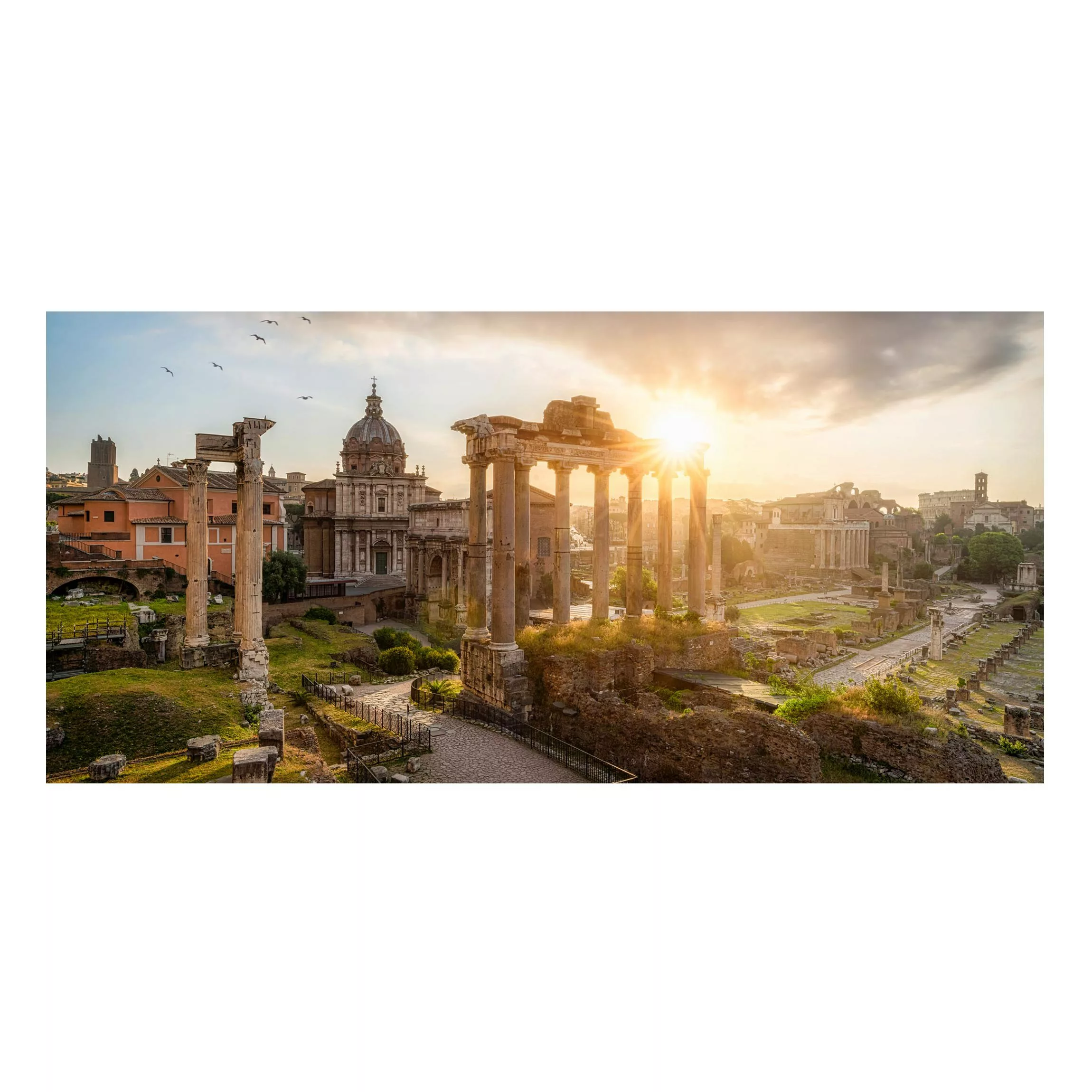 Magnettafel Forum Romanum bei Sonnenaufgang günstig online kaufen
