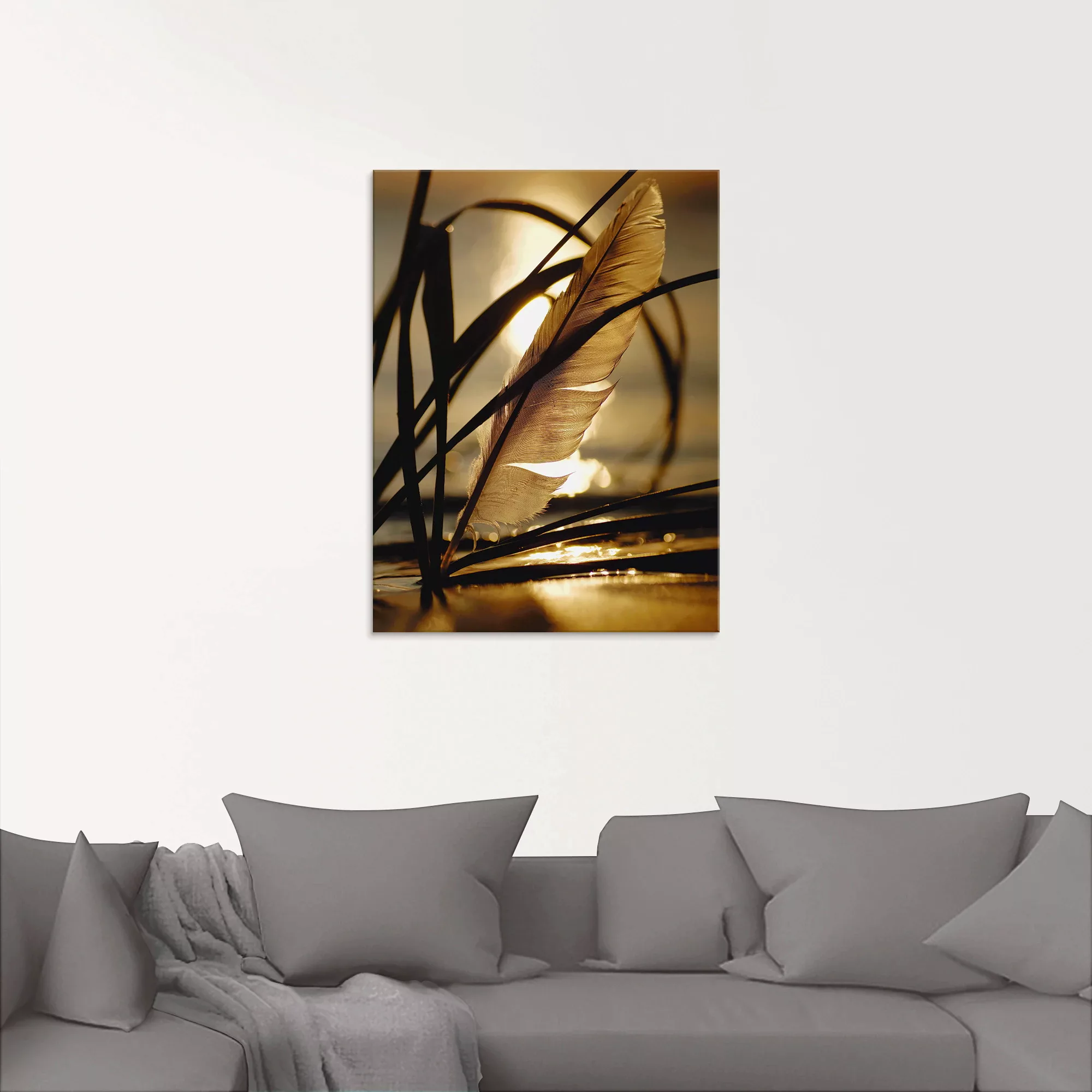 Artland Glasbild "Feder im Abendlicht", Gräser, (1 St.), in verschiedenen G günstig online kaufen