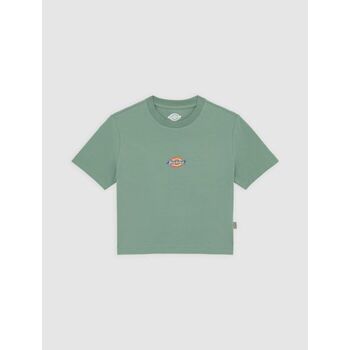 Dickies  T-Shirts & Poloshirts MAPLE VALLEY DK0A4XPO-L191 SEA SPRAY günstig online kaufen