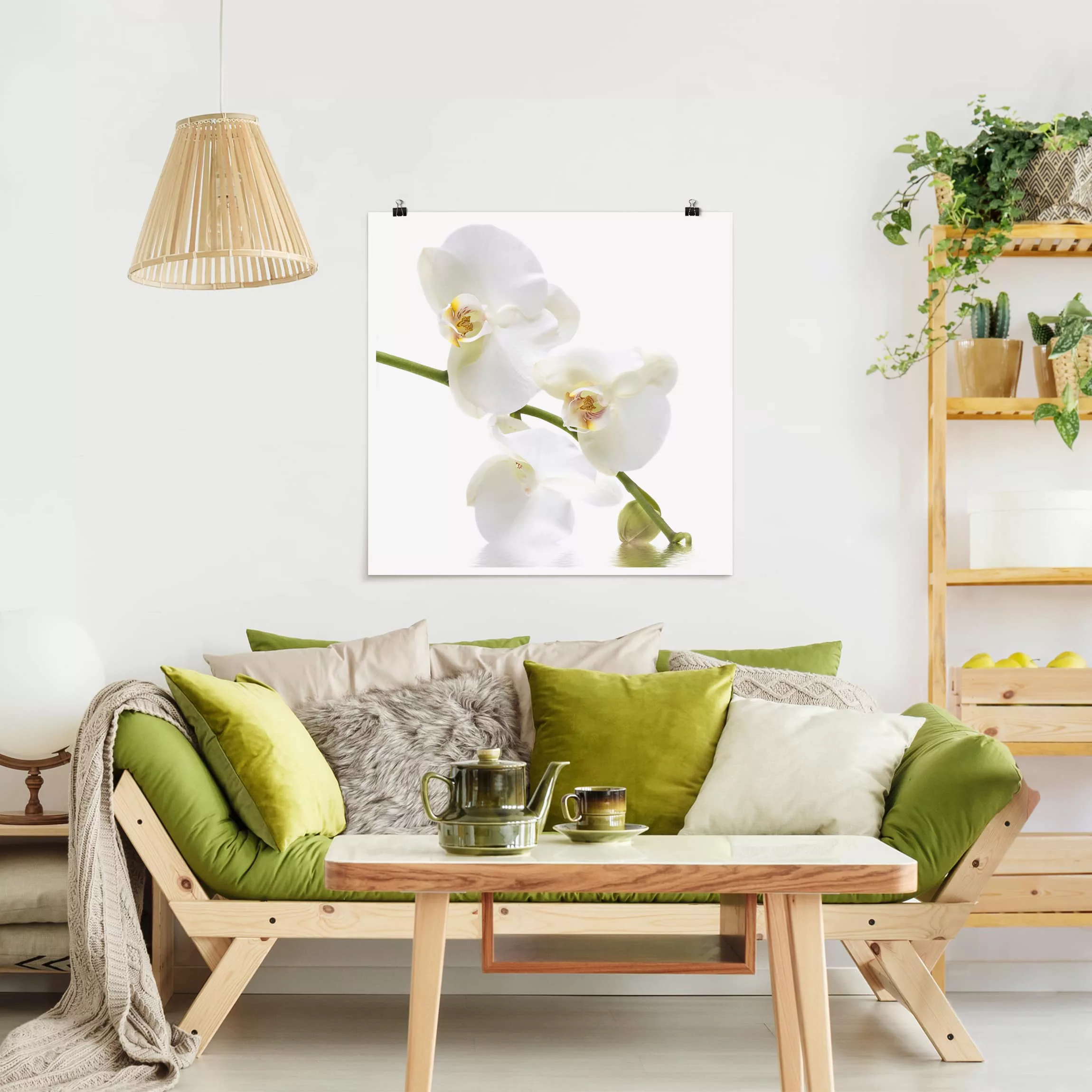 Poster Blumen - Quadrat White Orchid Waters günstig online kaufen