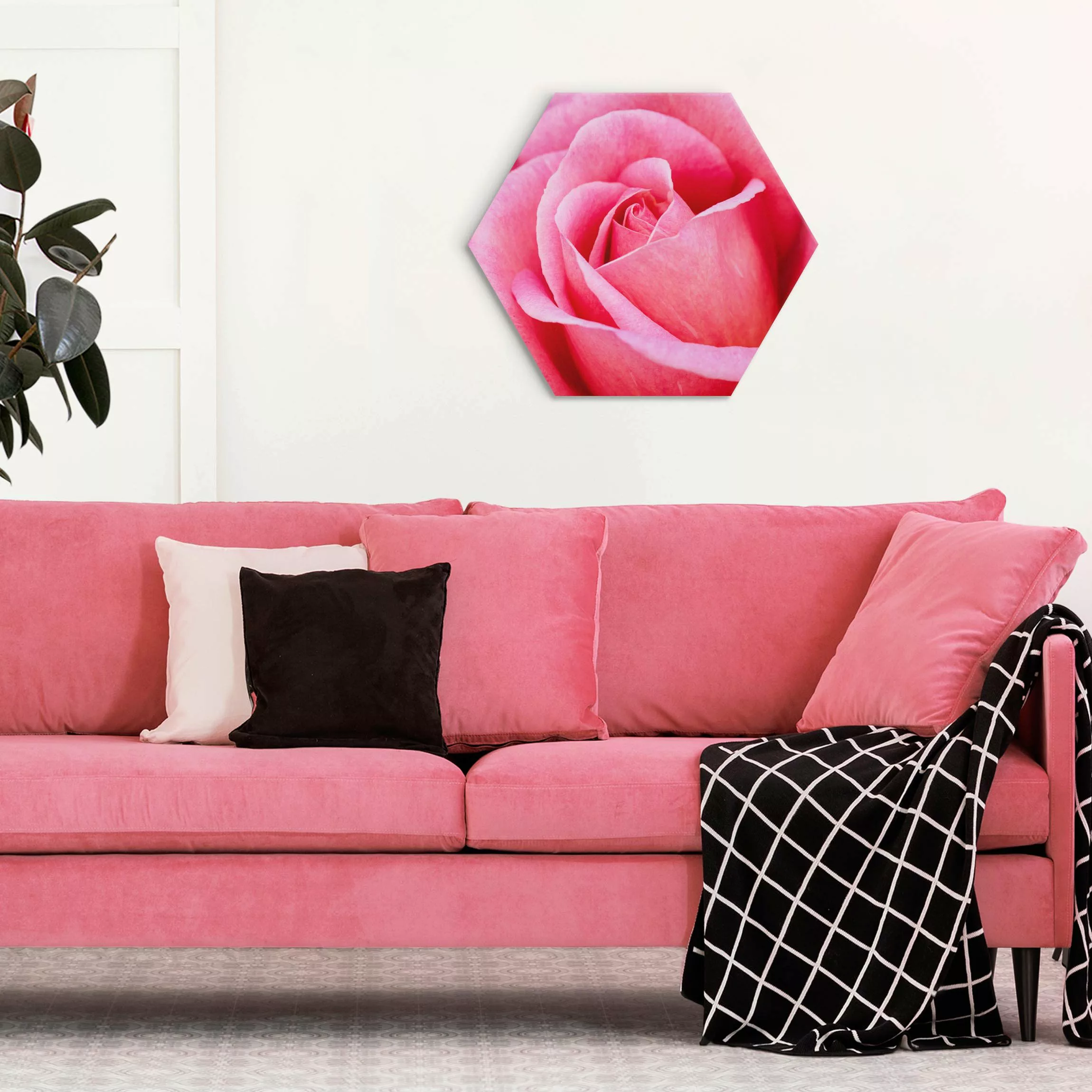 Hexagon-Alu-Dibond Bild Pinke Rosenblüte vor Grün günstig online kaufen