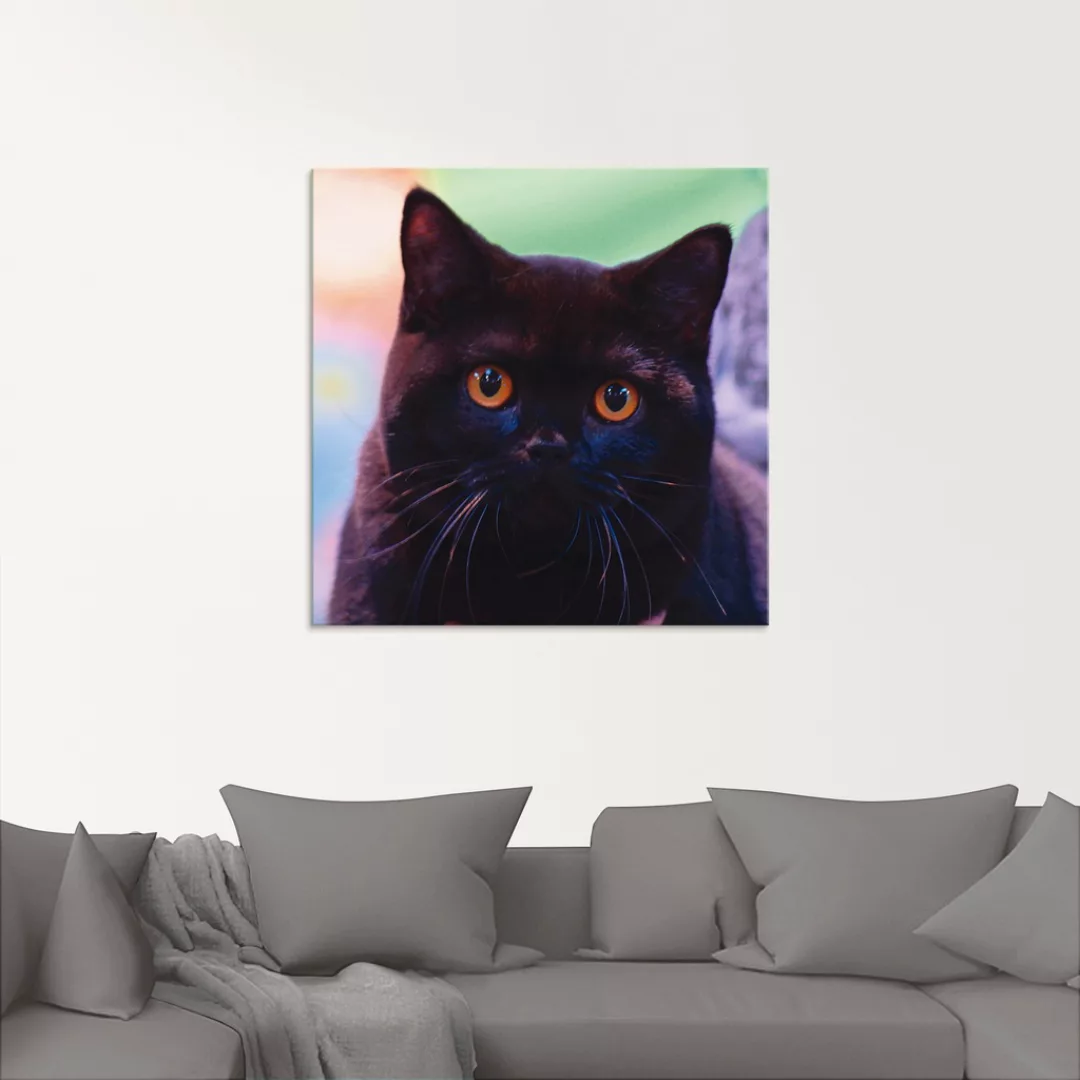 Artland Glasbild "Schwarze Britisch Kurzhaarkatze", Haustiere, (1 St.), in günstig online kaufen