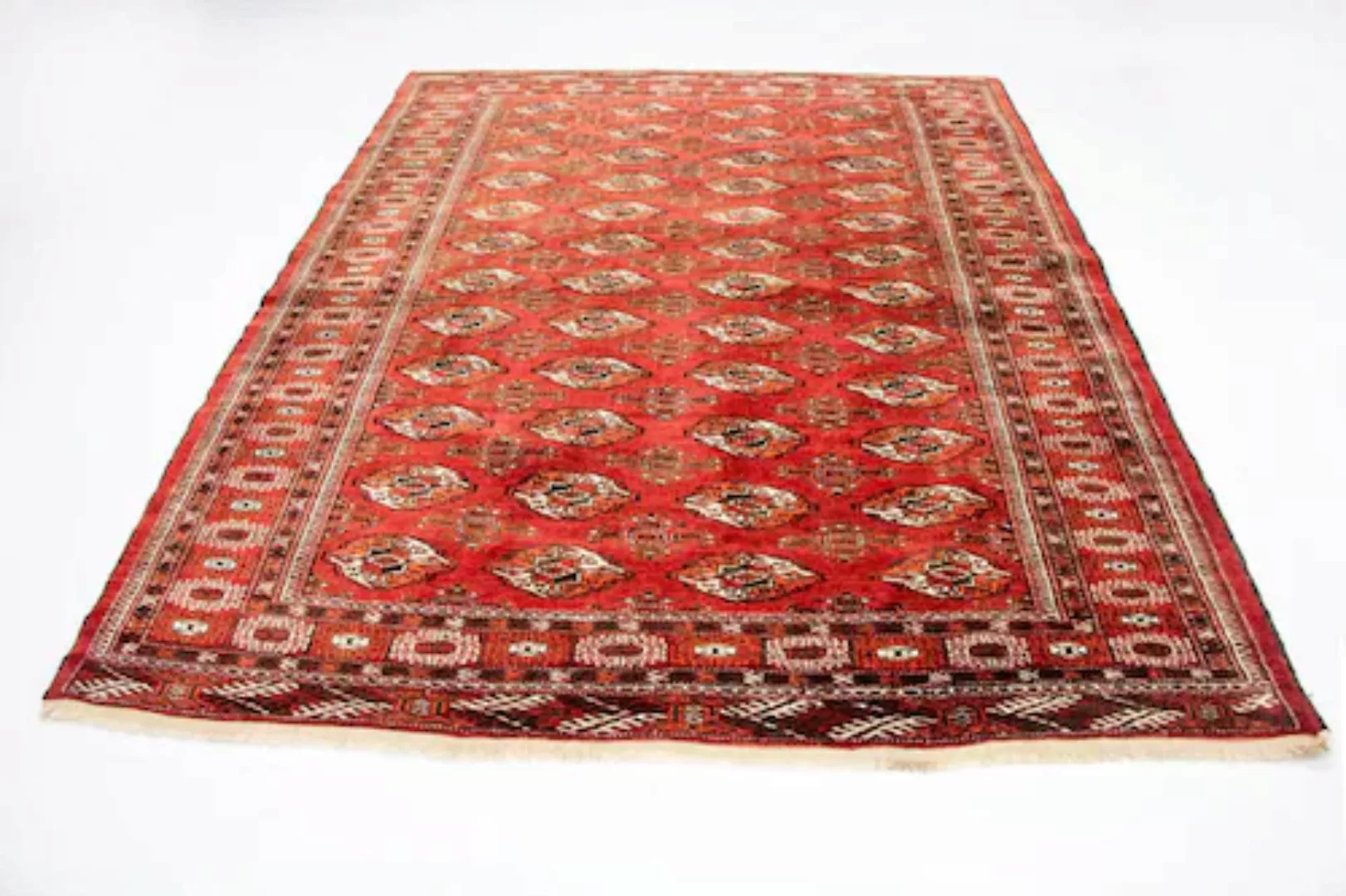 morgenland Wollteppich »Buchara Teppich handgeknüpft rot«, rechteckig günstig online kaufen