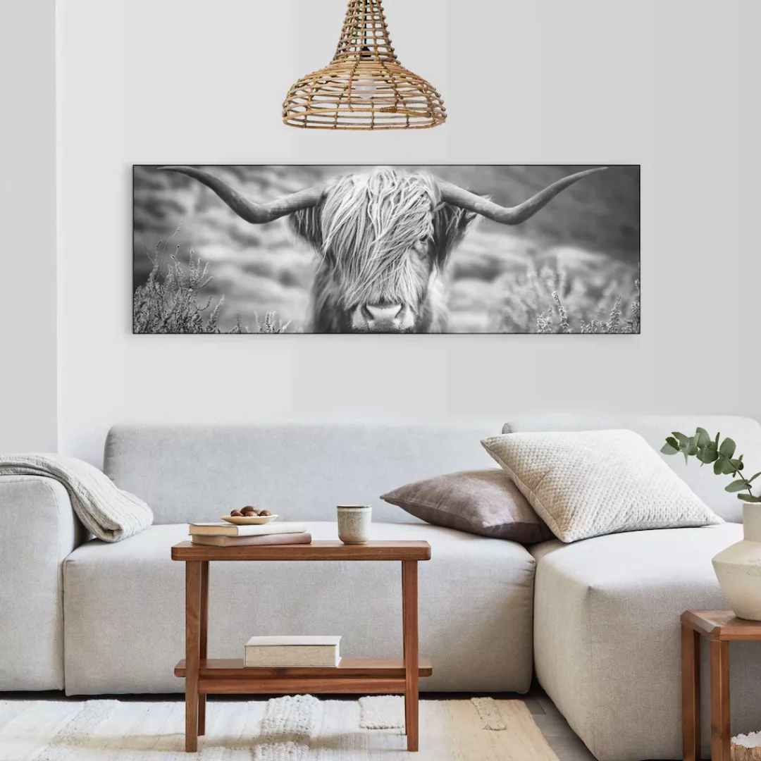 Reinders! Wandbild »Highlander Bulle« günstig online kaufen