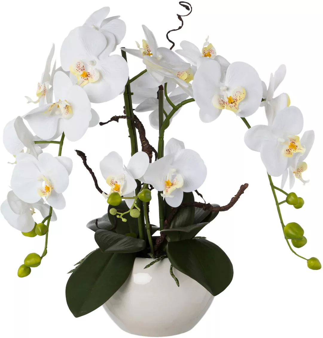 Creativ green Kunstorchidee "Phalaenopsis", im Keramiktopf günstig online kaufen