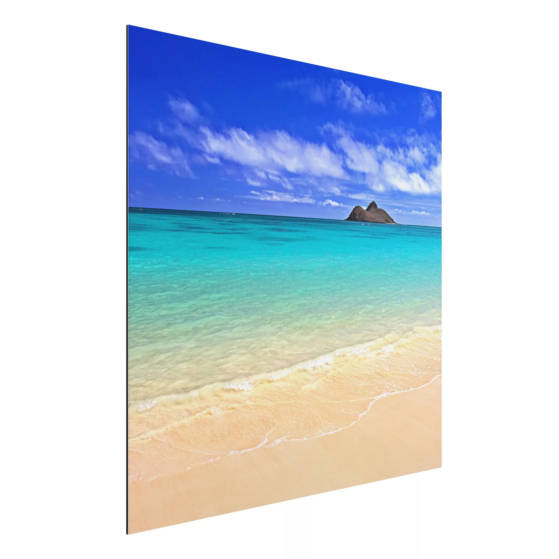 Alu-Dibond Bild Natur & Landschaft - Quadrat Paradise Beach günstig online kaufen