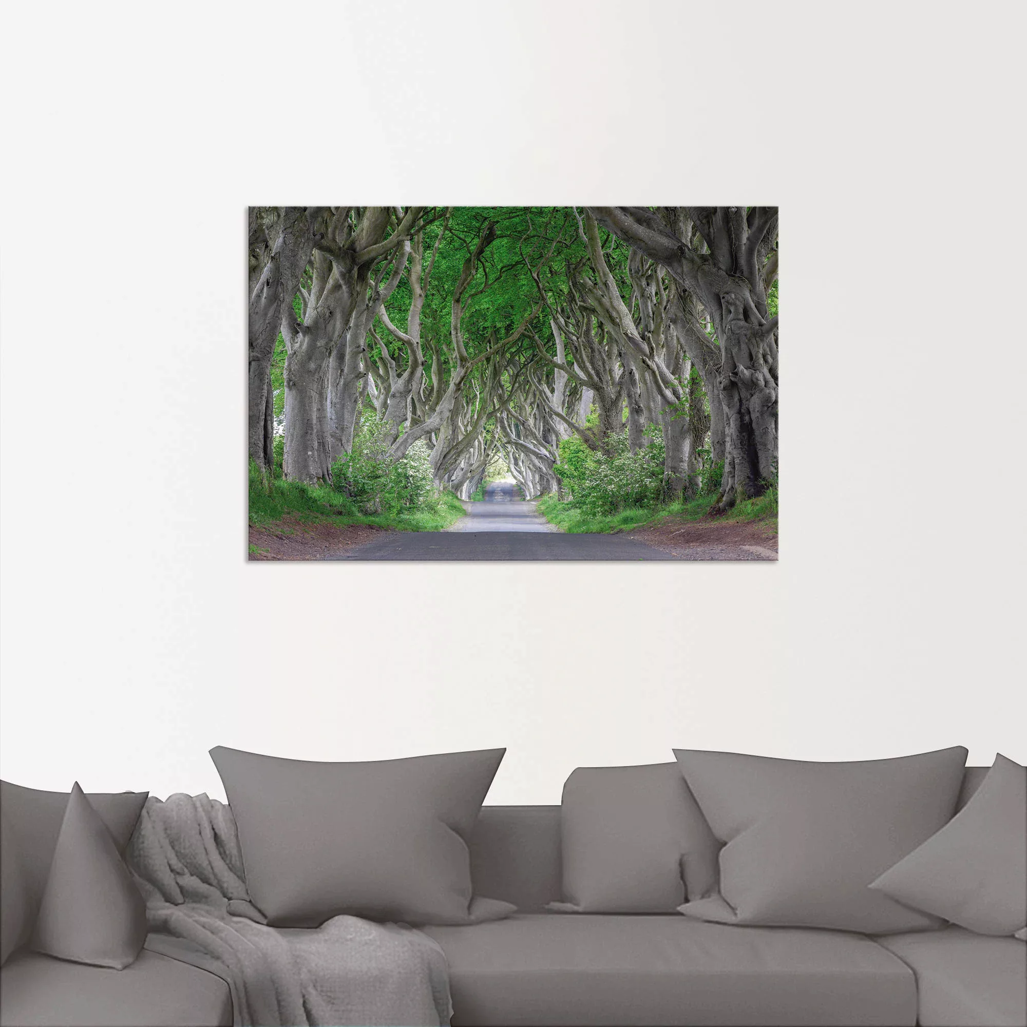 Artland Wandbild "Straße durch den Zauberwald", Waldbilder, (1 St.), als Al günstig online kaufen