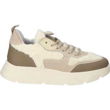 Steve Madden  Sneaker Sneaker günstig online kaufen