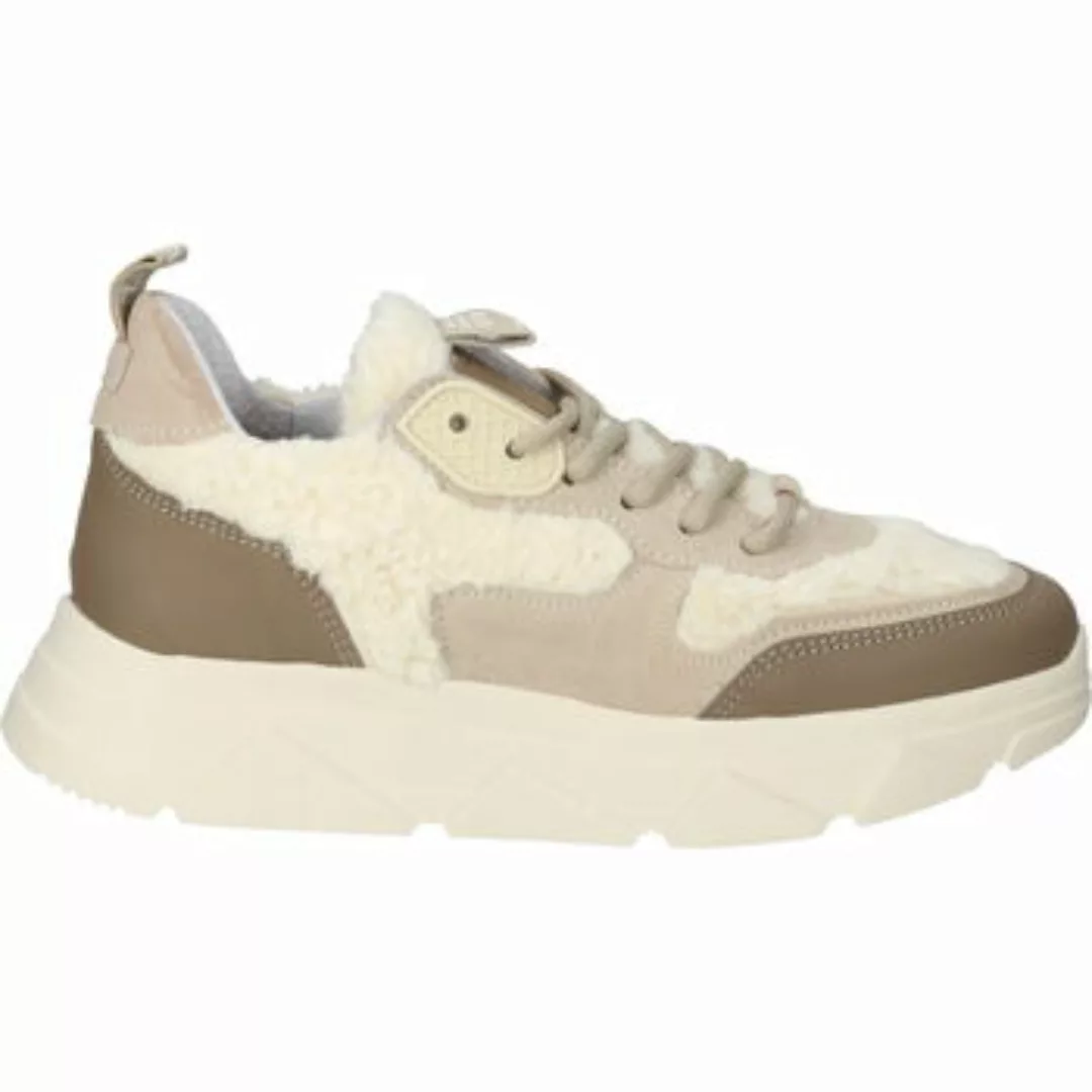 Steve Madden  Sneaker Sneaker günstig online kaufen