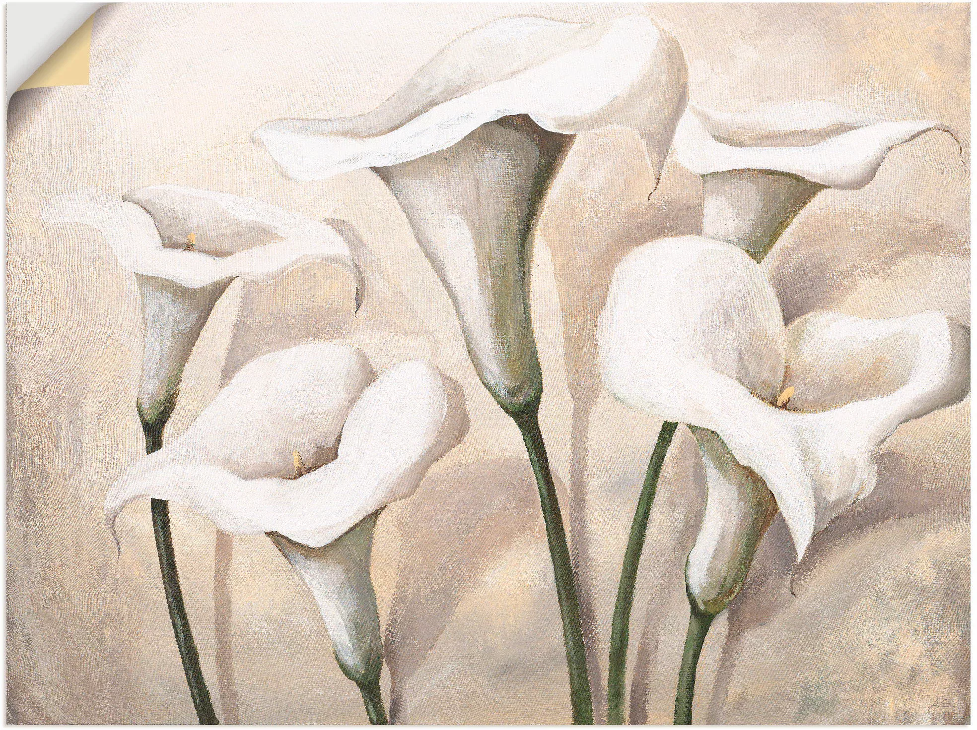 Artland Wandbild »Callas I«, Blumen, (1 St.) günstig online kaufen
