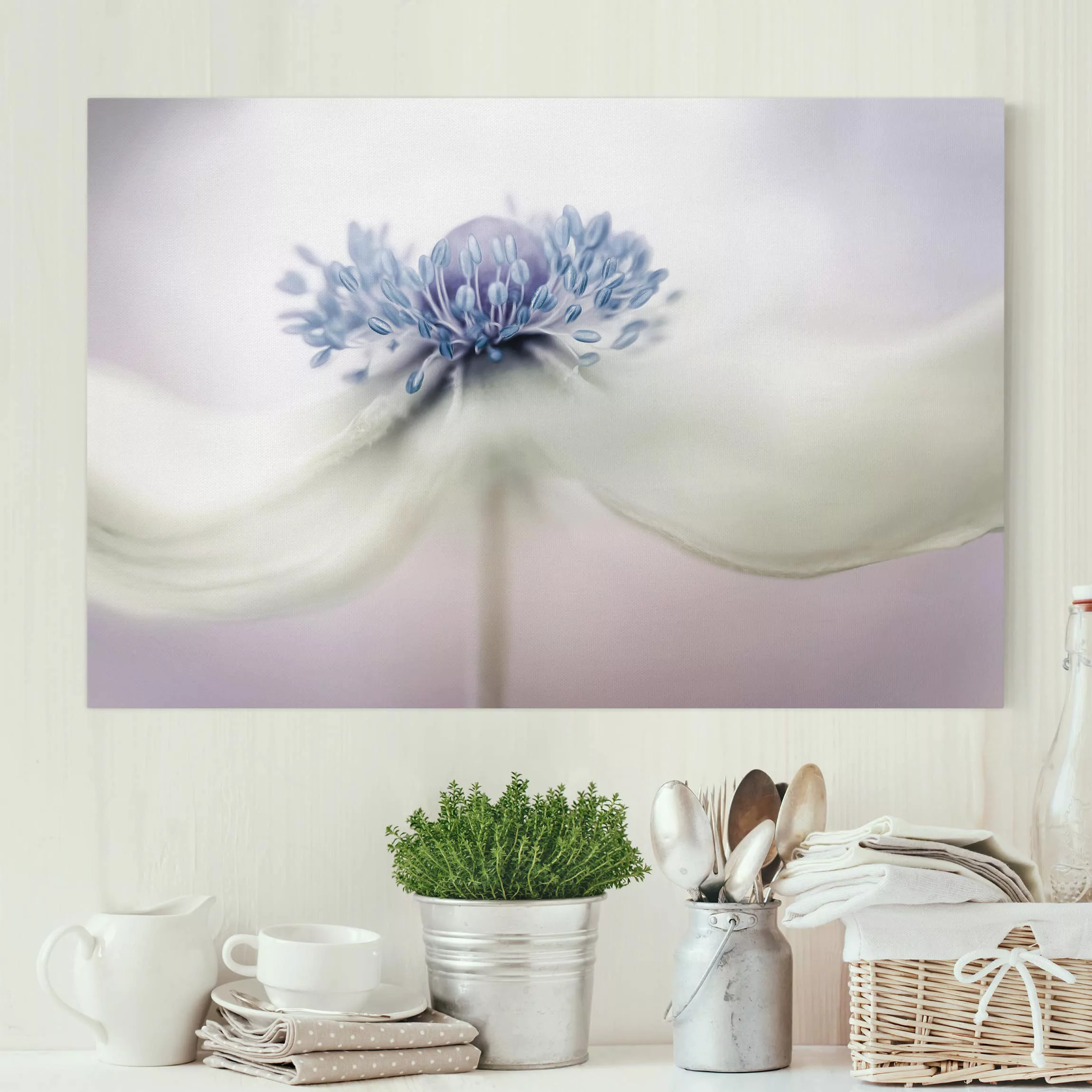 Leinwandbild Blumen - Querformat Anemone in Violett günstig online kaufen