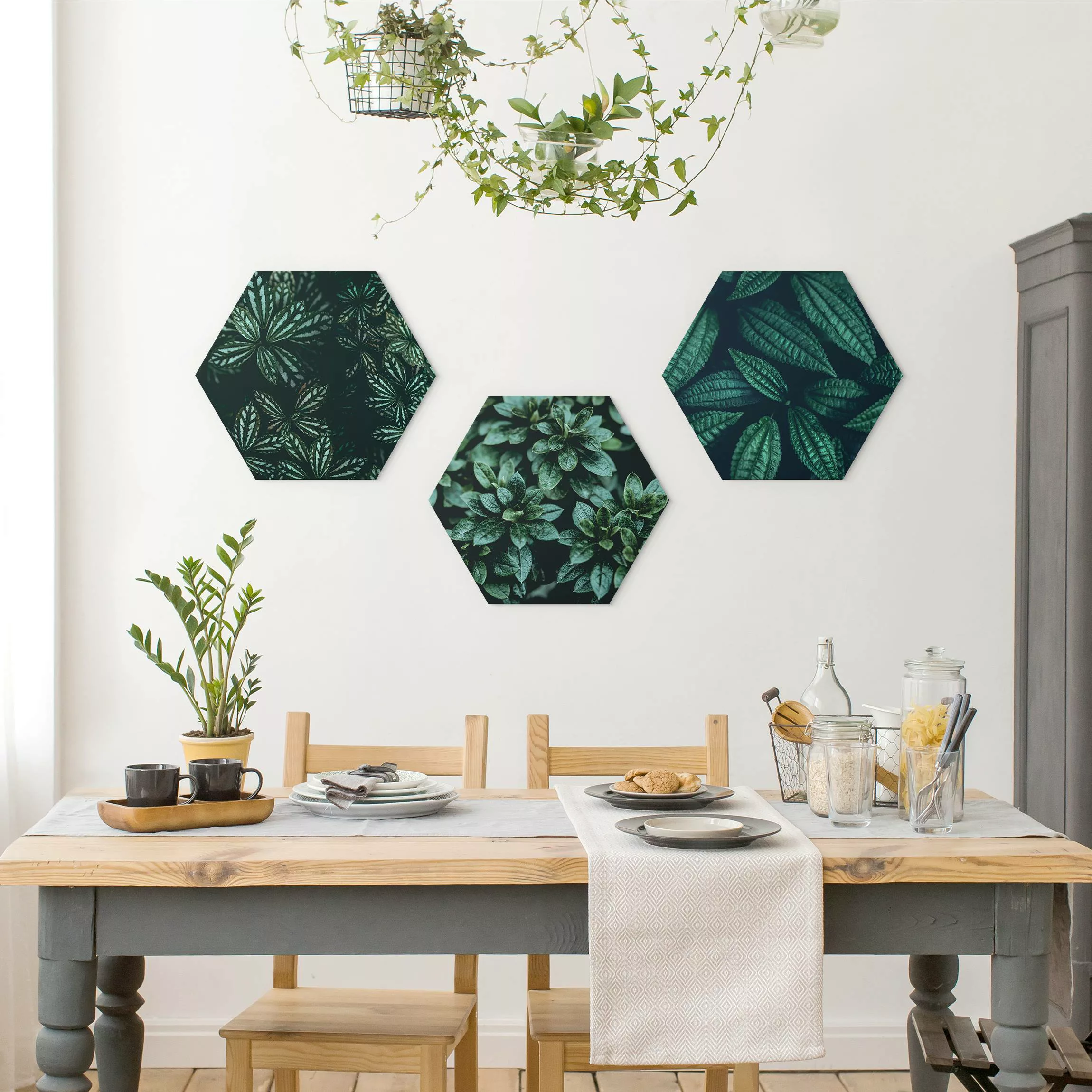 3-teiliges Hexagon-Alu-Dibond Bild Blätter Trio günstig online kaufen