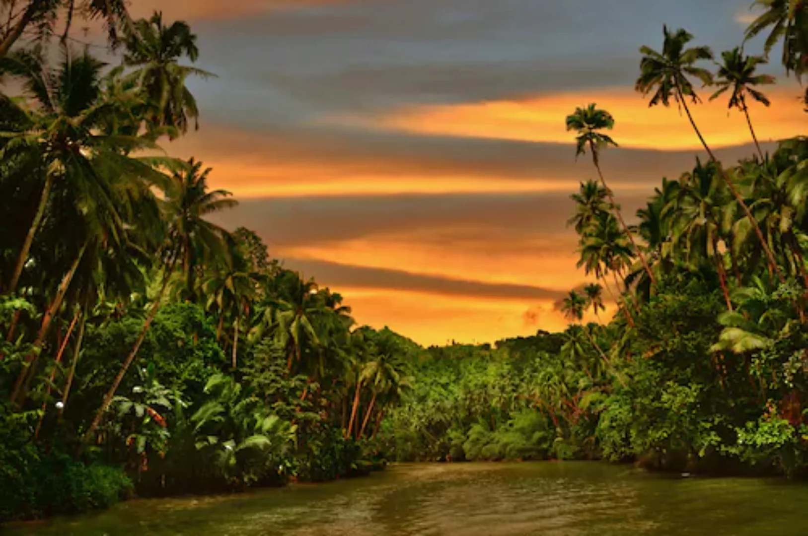 Papermoon Fototapete »Fluss im Dschungel« günstig online kaufen