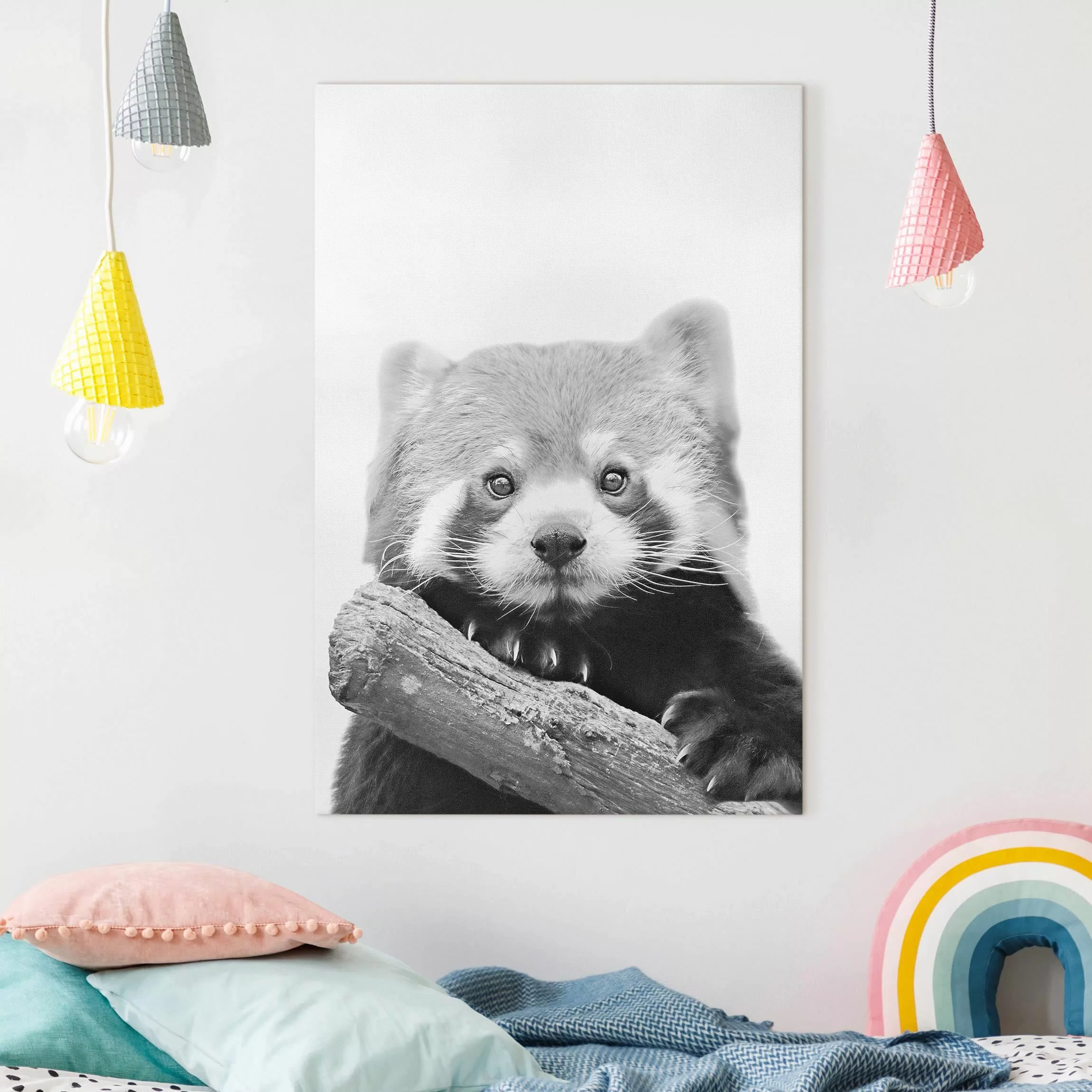 Leinwandbild Roter Panda in Schwarz-weiß günstig online kaufen