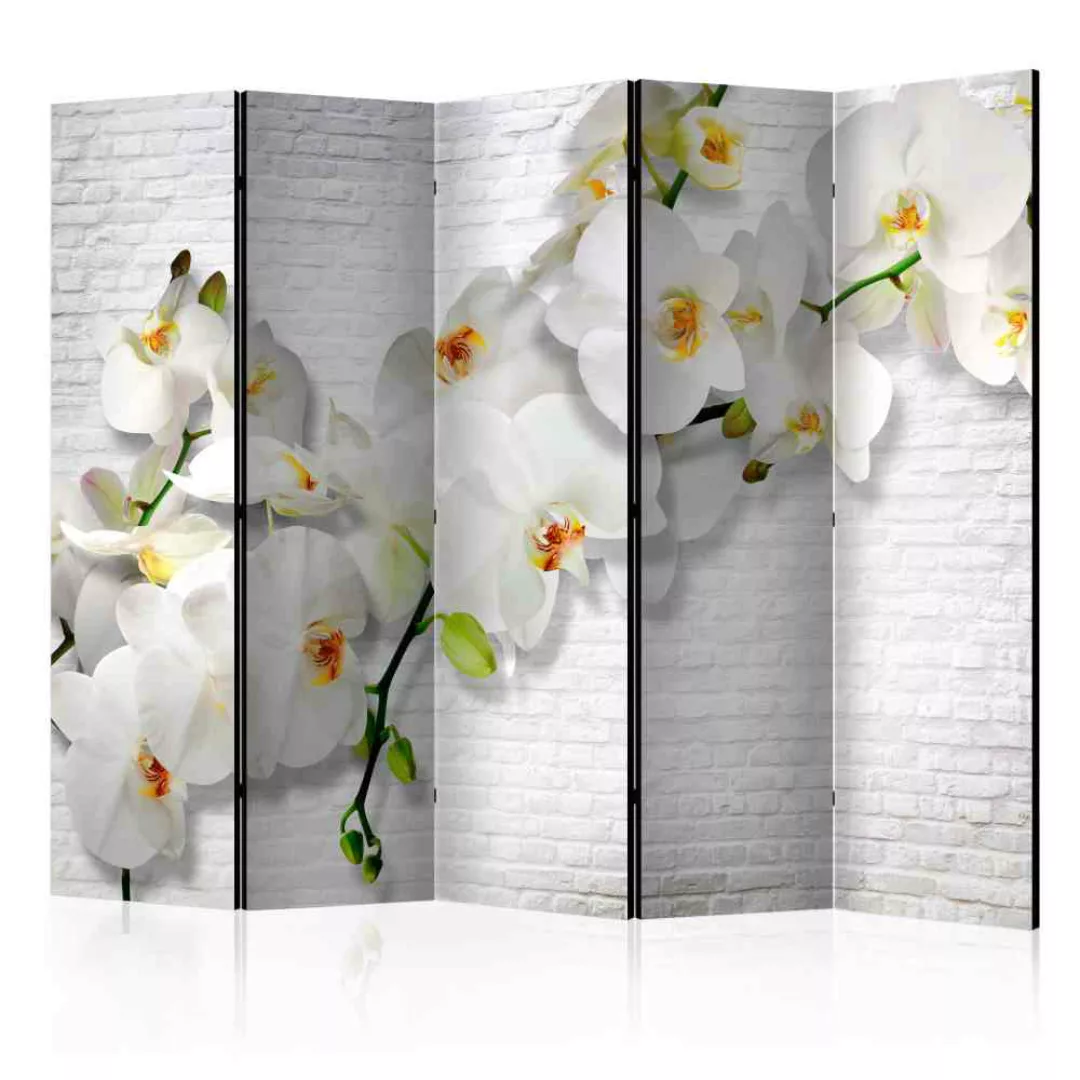 Leinwand Paravent 5-teilig weißen Orchideen Blüten günstig online kaufen