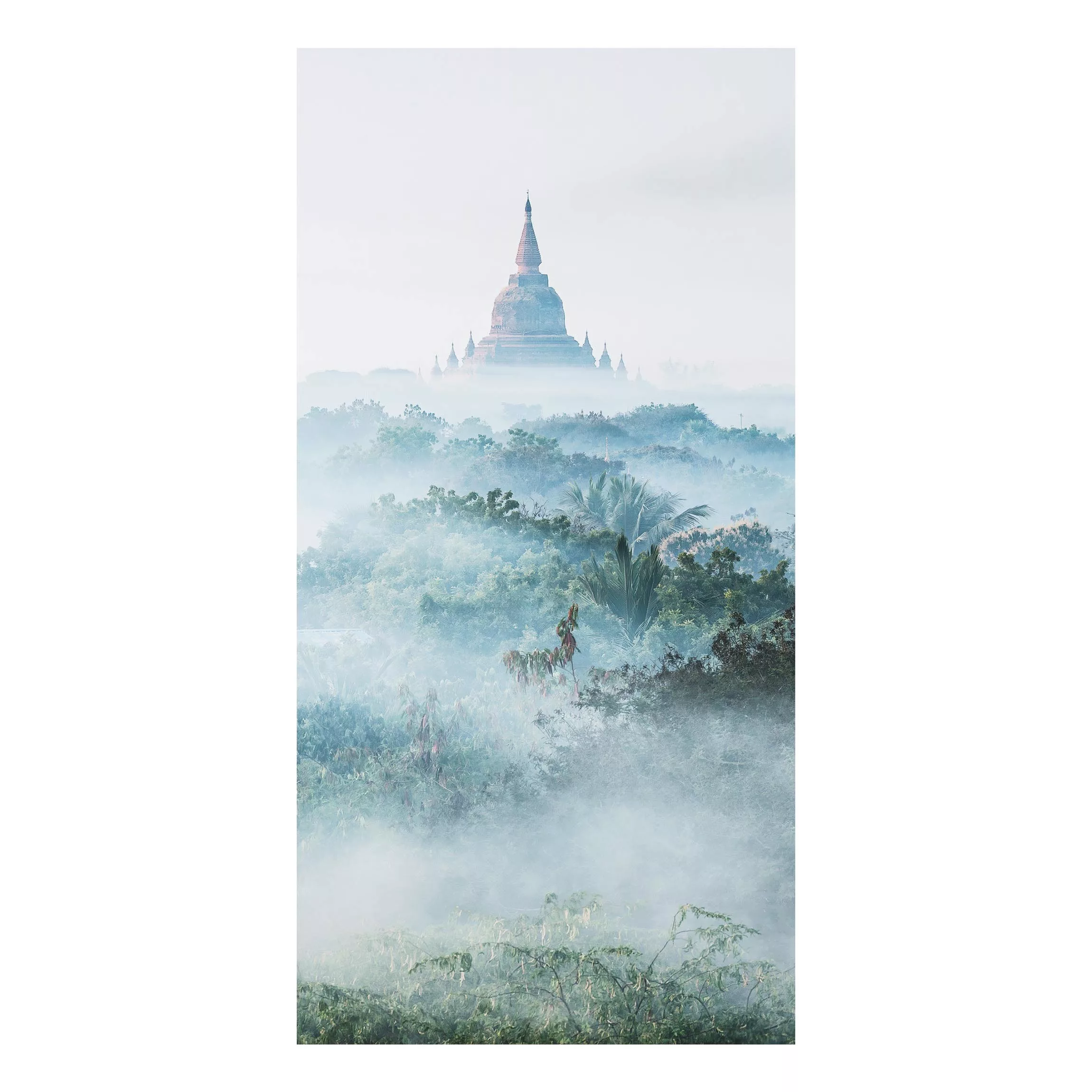 Alu-Dibond Bild Morgennebel über dem Dschungel von Bagan günstig online kaufen