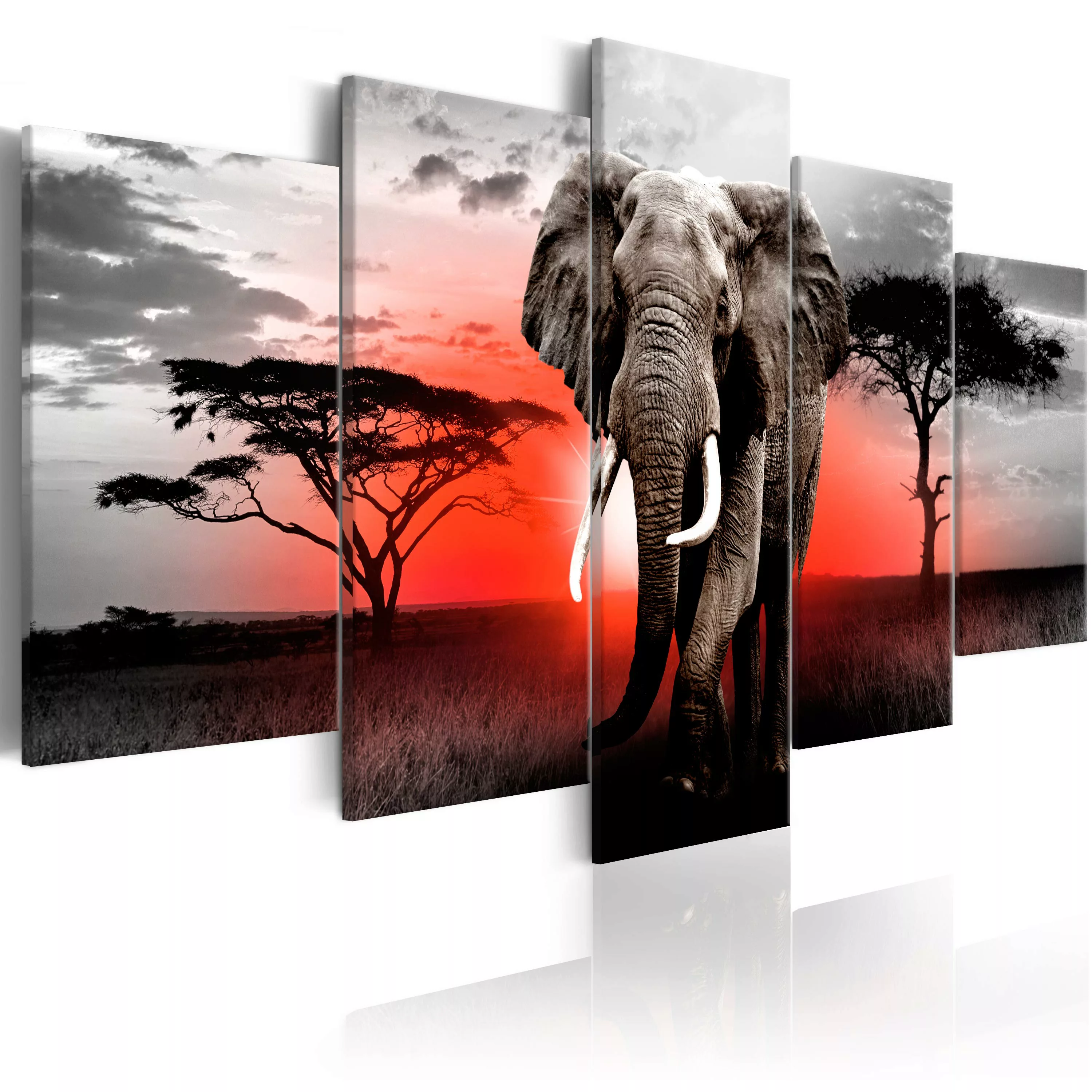 Wandbild - Lonely Elephant günstig online kaufen