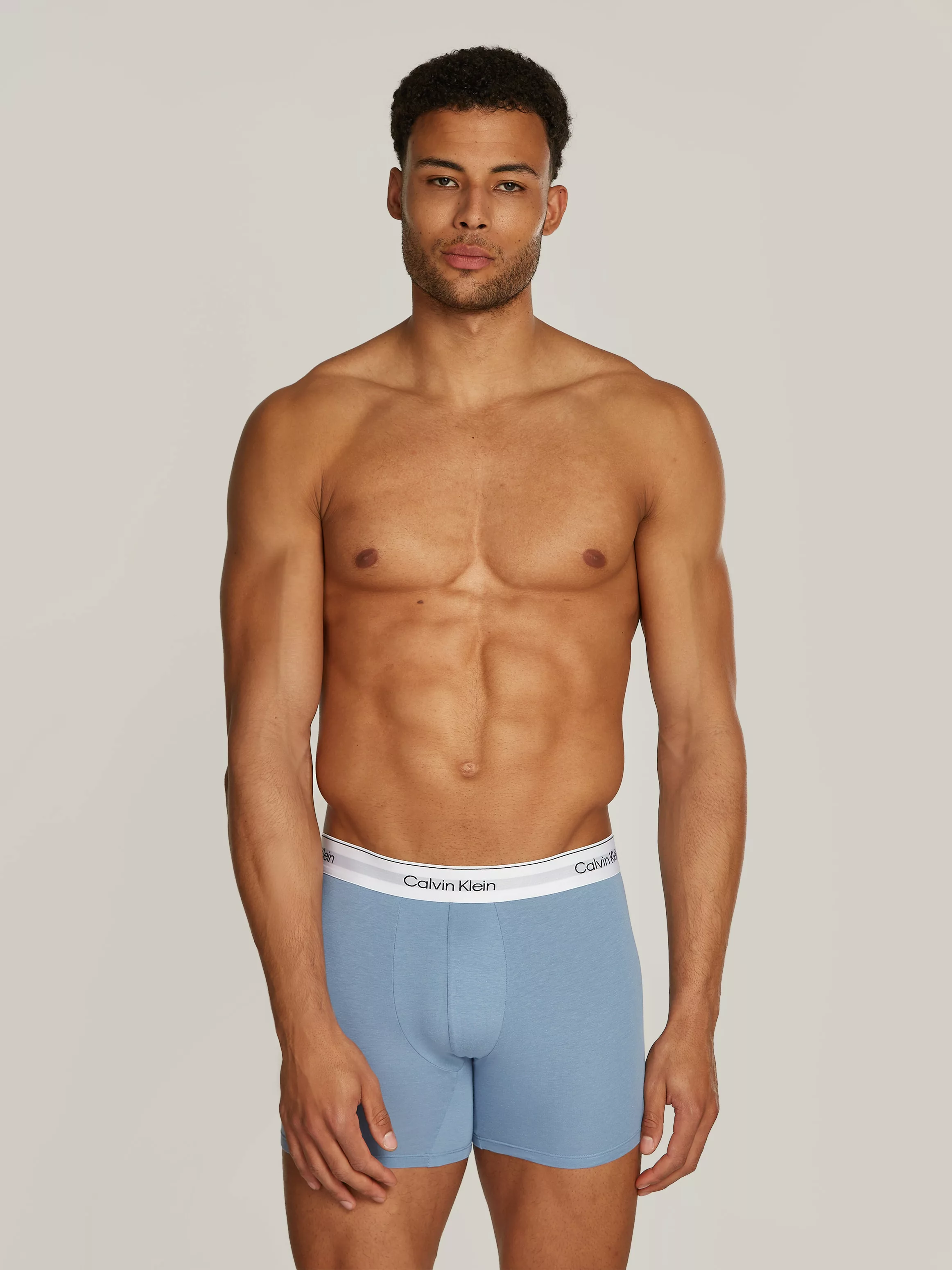 Calvin Klein 3-er Set Boxer Briefs Blau & Grau günstig online kaufen