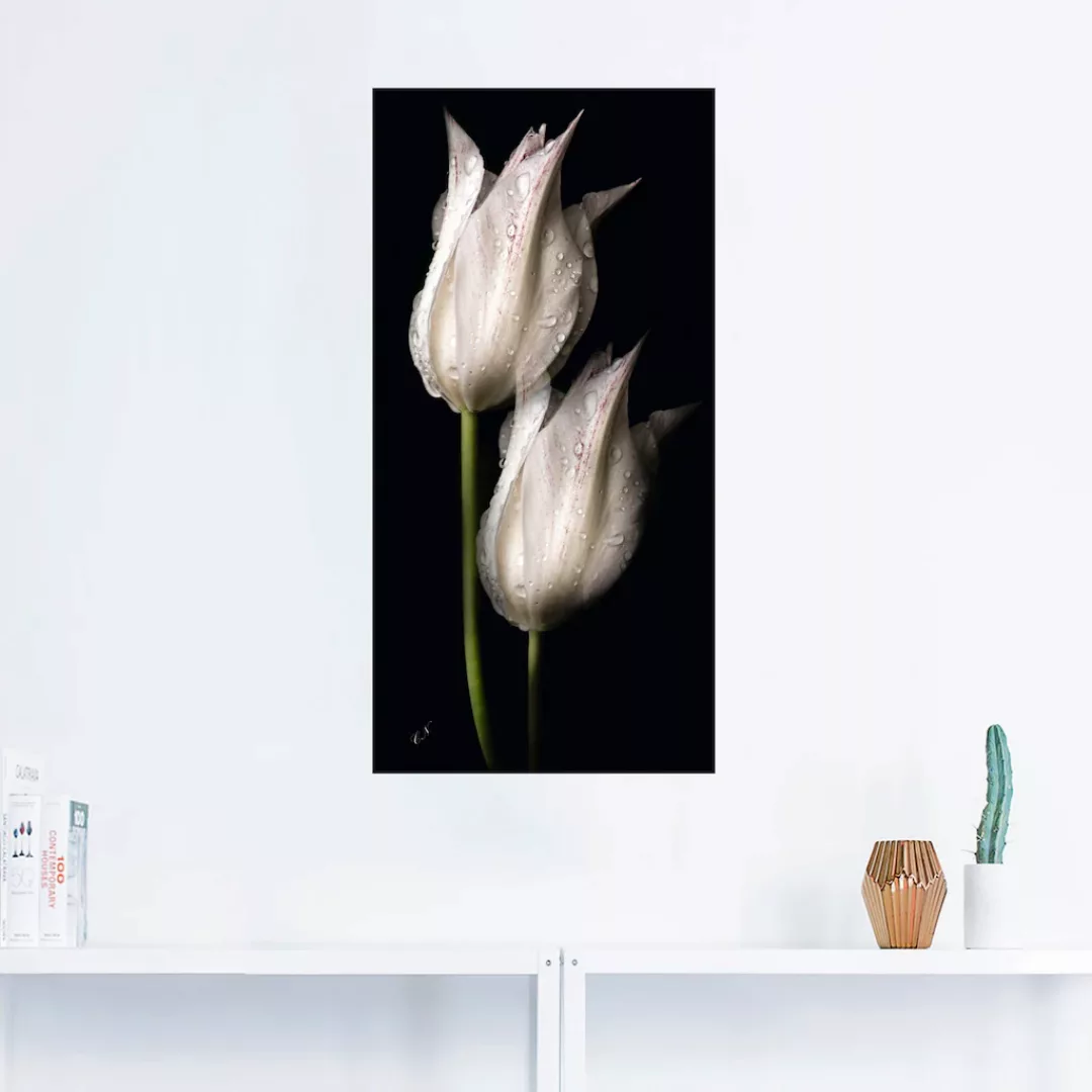 Artland Wandbild »Weiße Tulpen in der Nacht«, Blumenbilder, (1 St.), als Al günstig online kaufen