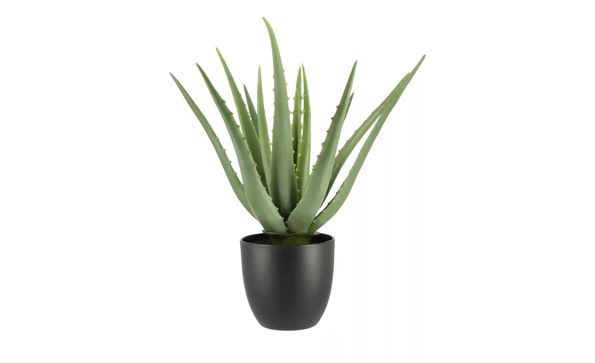 Aloe im Topf - grün - Kunststoff - 35 cm - Dekoration > Kunstblumen - Möbel günstig online kaufen