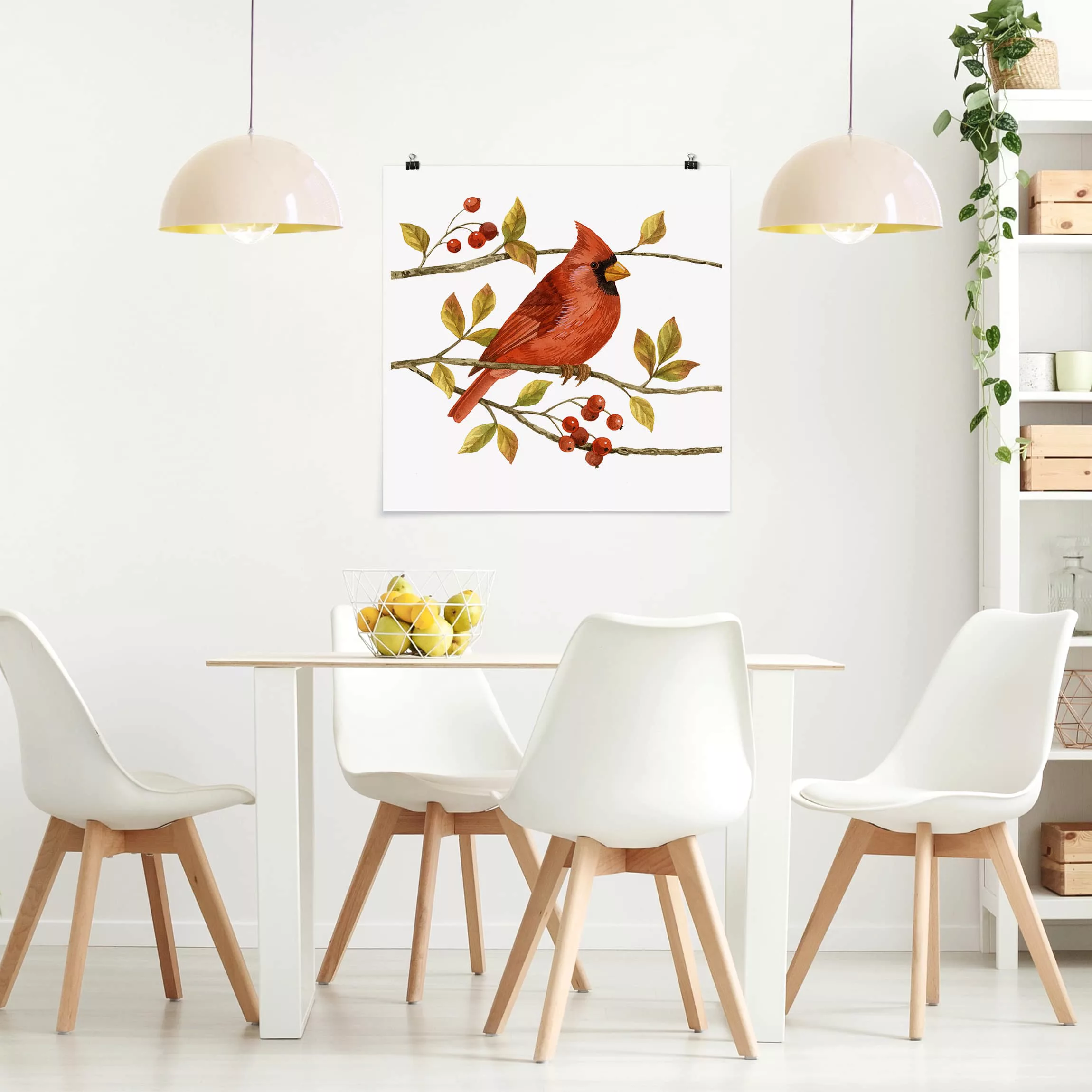 Poster Tiere - Quadrat Vögel und Beeren - Rotkardinal günstig online kaufen