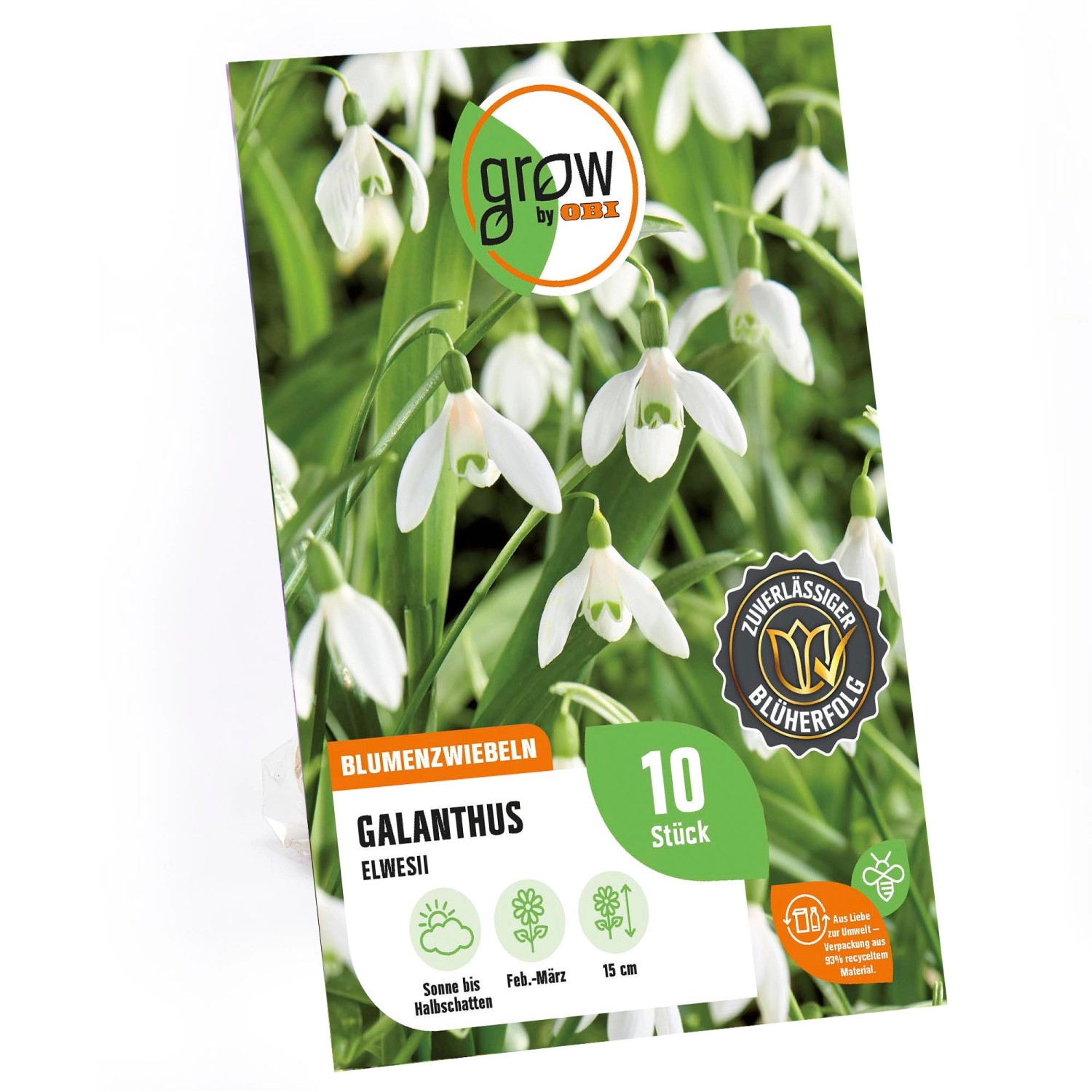 GROW by OBI Elwes-Schneeglöckchen Weiß 15 cm Galanthus elwesii günstig online kaufen