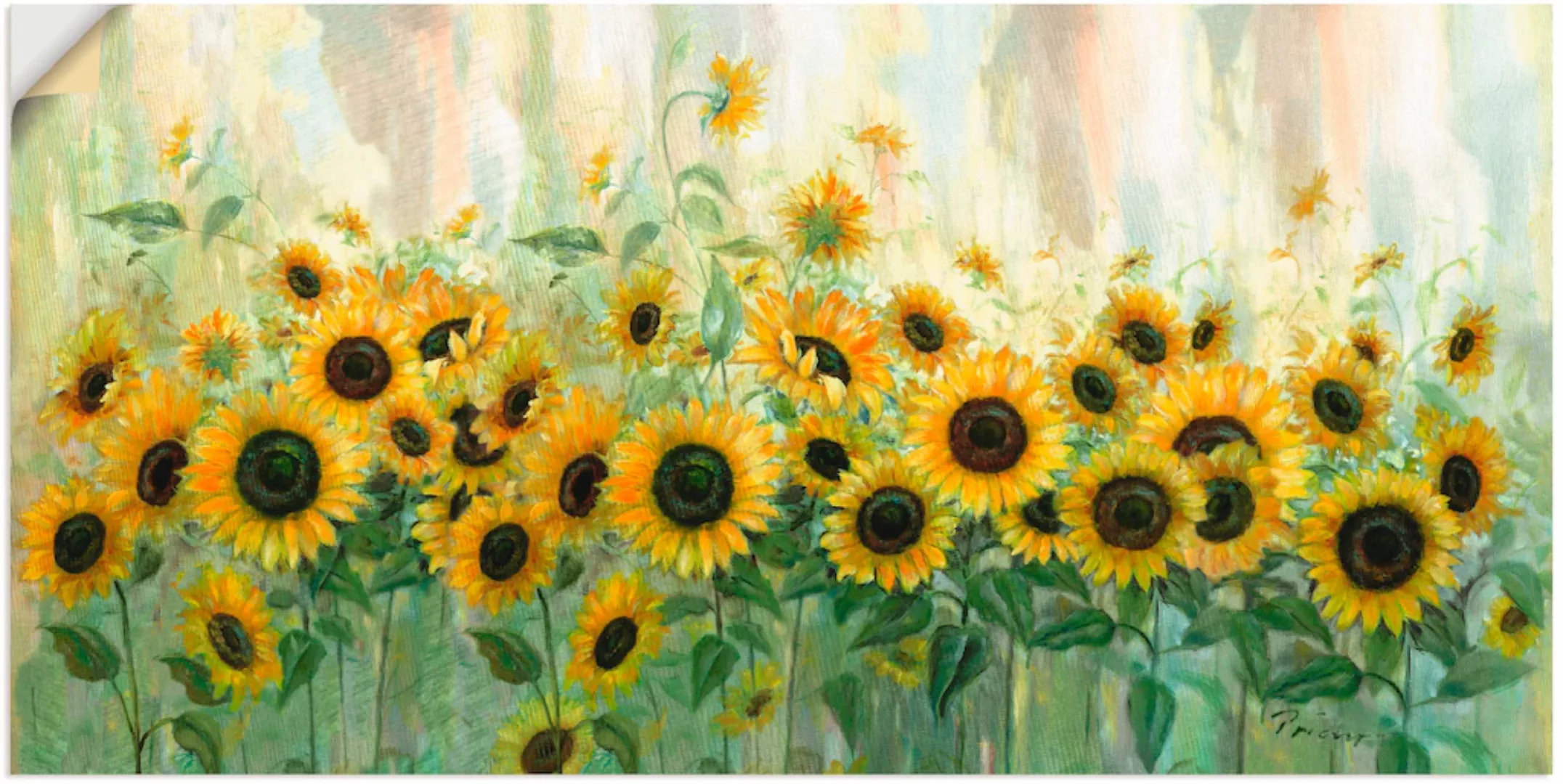 Artland Wandbild "Sonnenblumenwiese", Blumen, (1 St.) günstig online kaufen