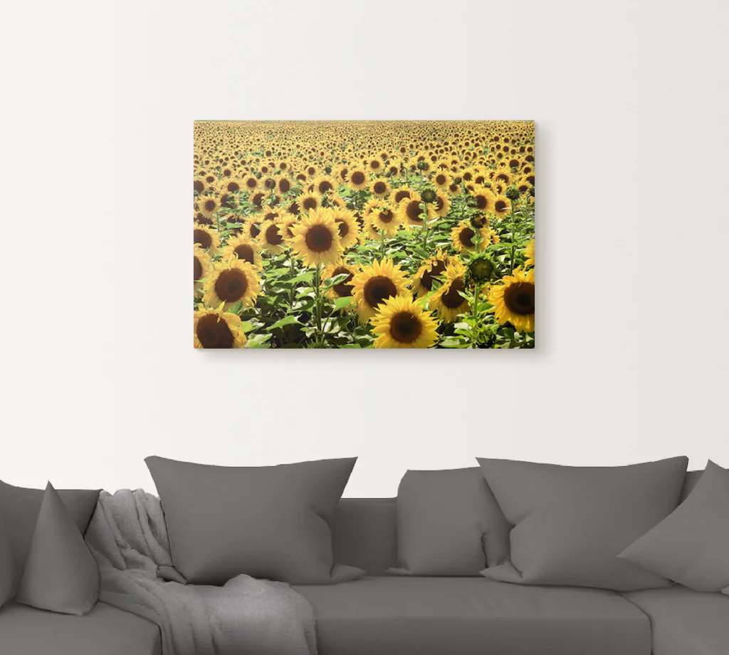 Artland Wandbild "Sonnenblumenfeld", Blumen, (1 St.), als Alubild, Outdoorb günstig online kaufen